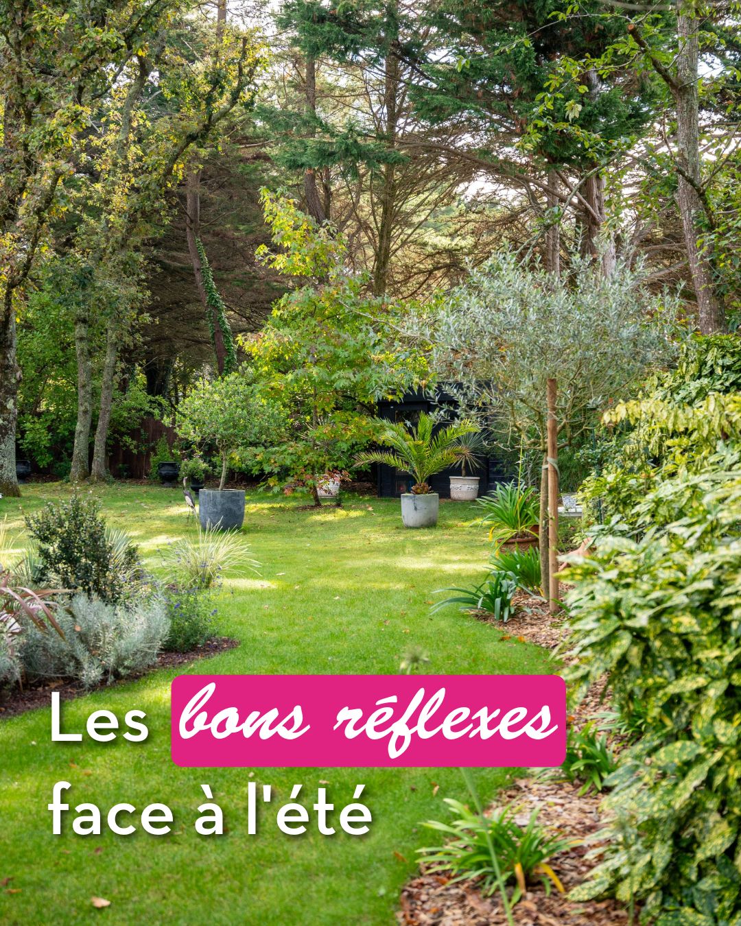 ☀️ Un jardin résilient face à l'été qui arrive \| Les 30... n°12

La saison s'annonce intense ! Face...