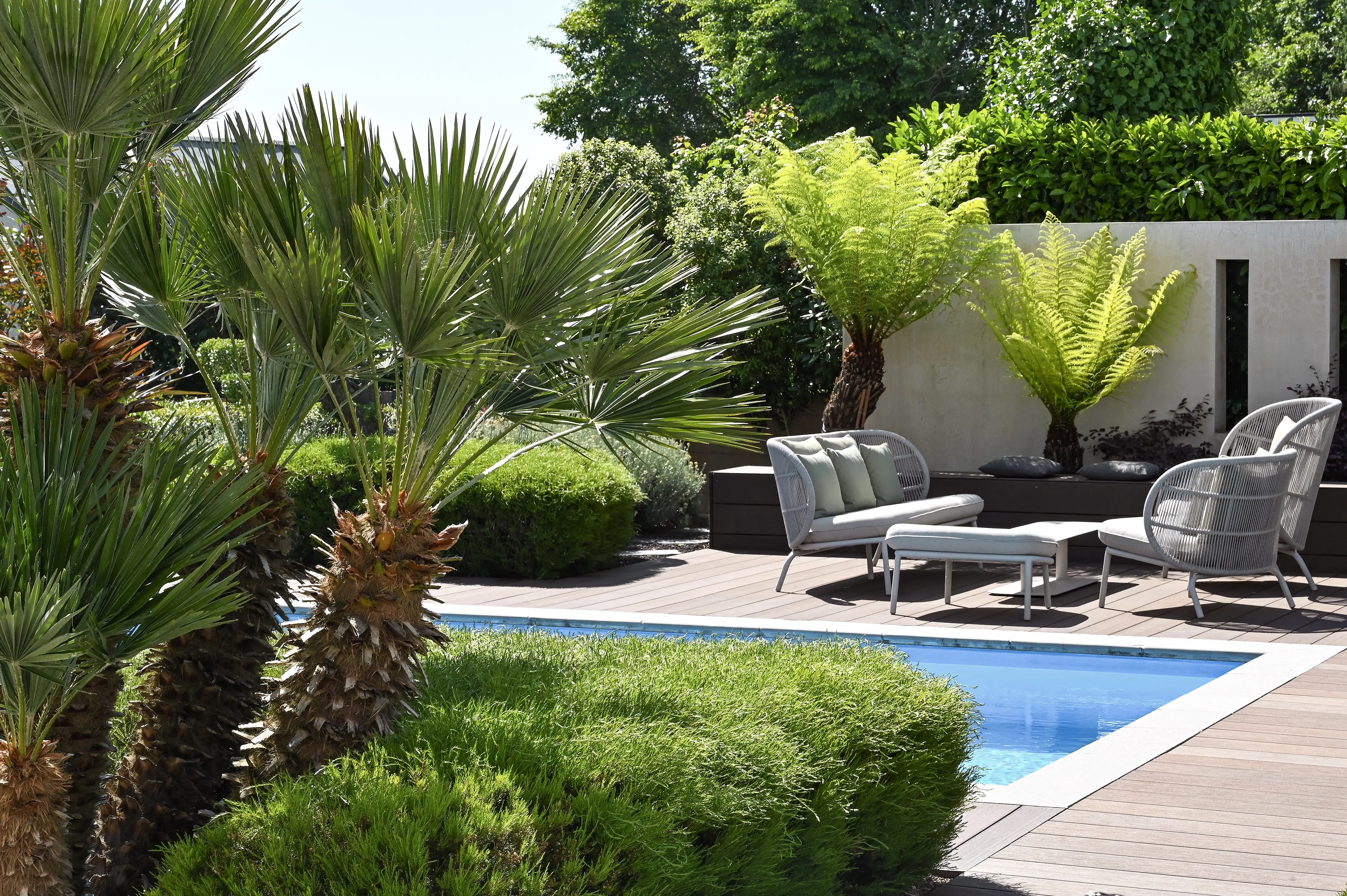 Création d'un jardin exotique autour d'une piscine avec terrasse en bois par Henri Mignon, paysagiste expert à Larmor-Plage.
