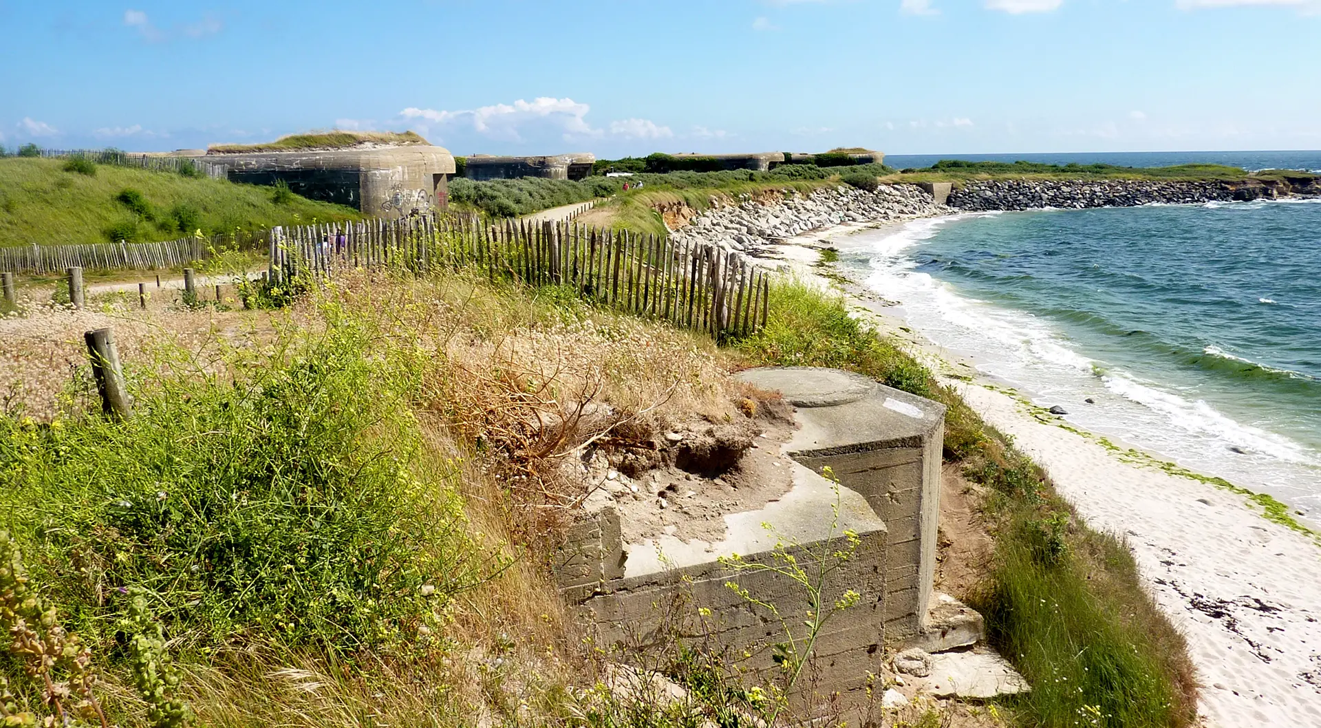 ici le jardin c'est la mer 