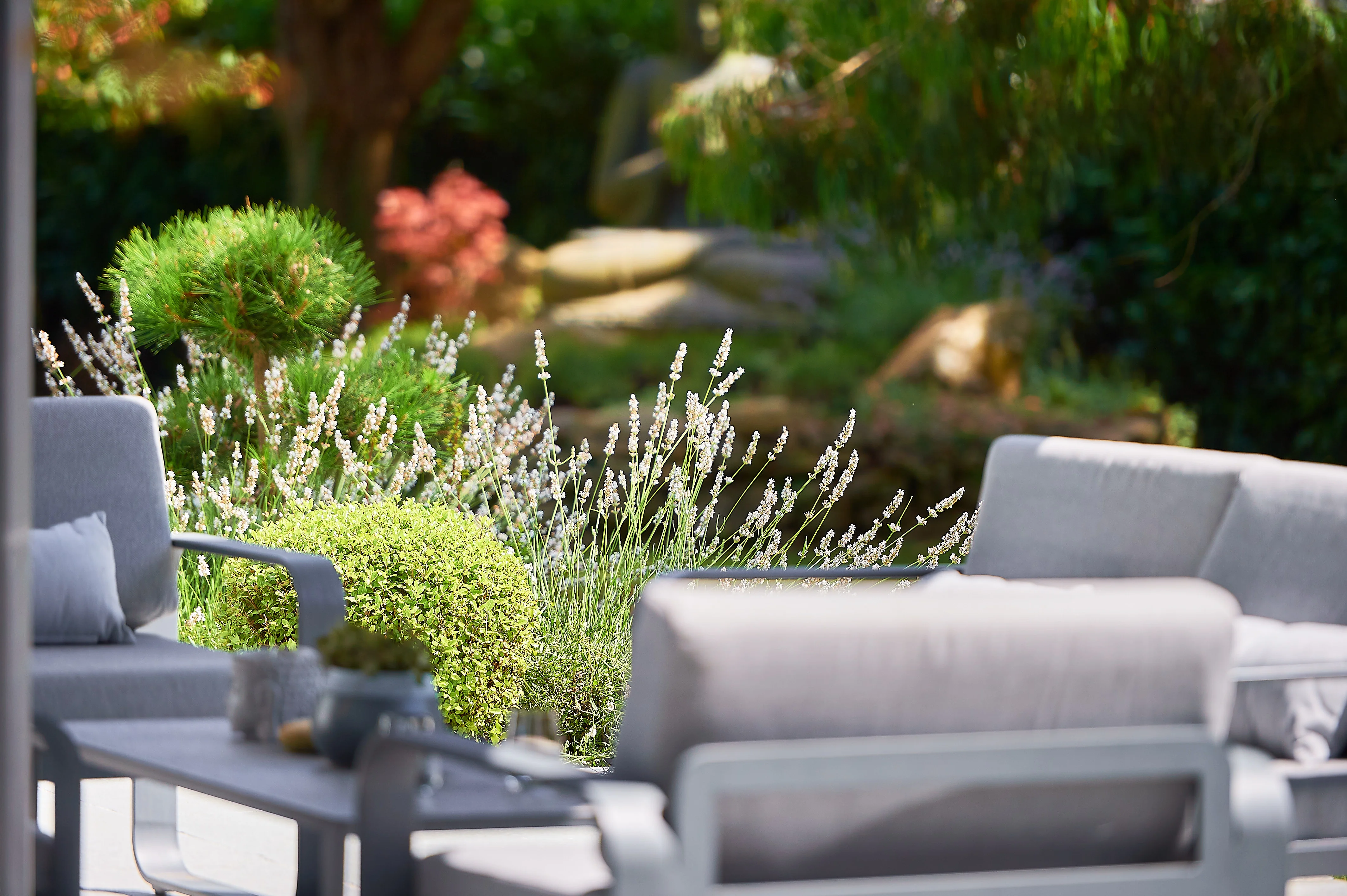 Terrasse à Arradon avec salon de jardin et décor végétal