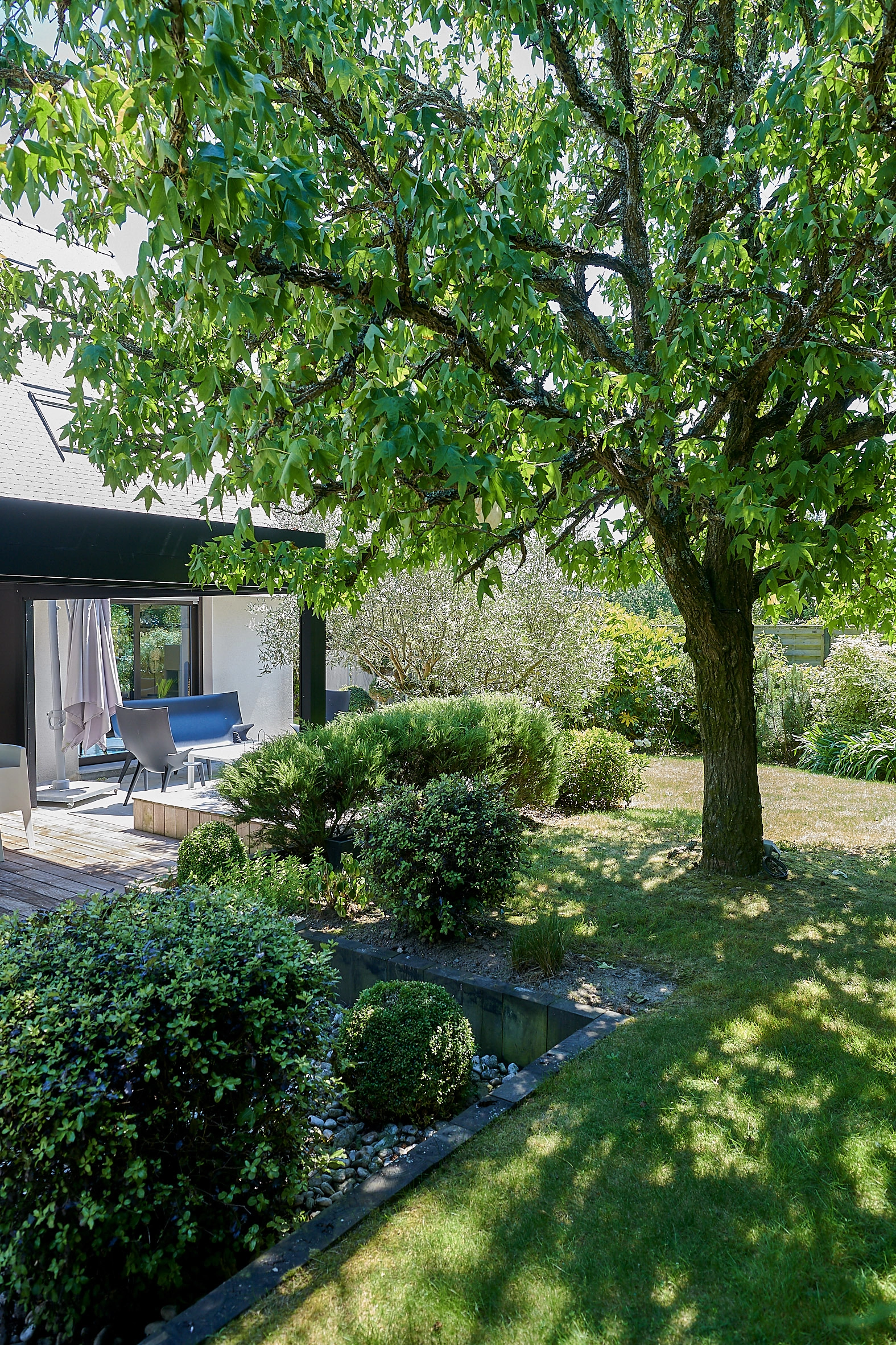 Arbre dans un jardin près d'une terrasse à Plouay