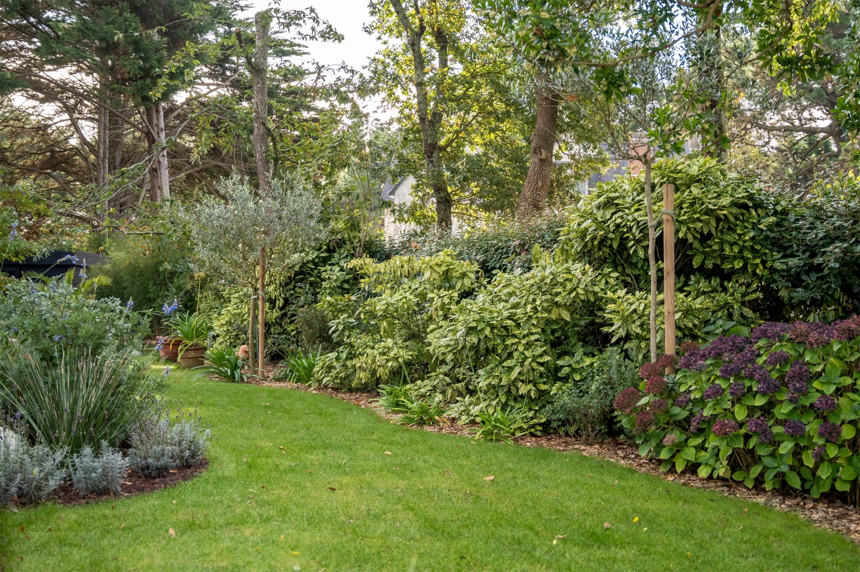Strates végétales arbustes et arbres dans un jardin à Quéven