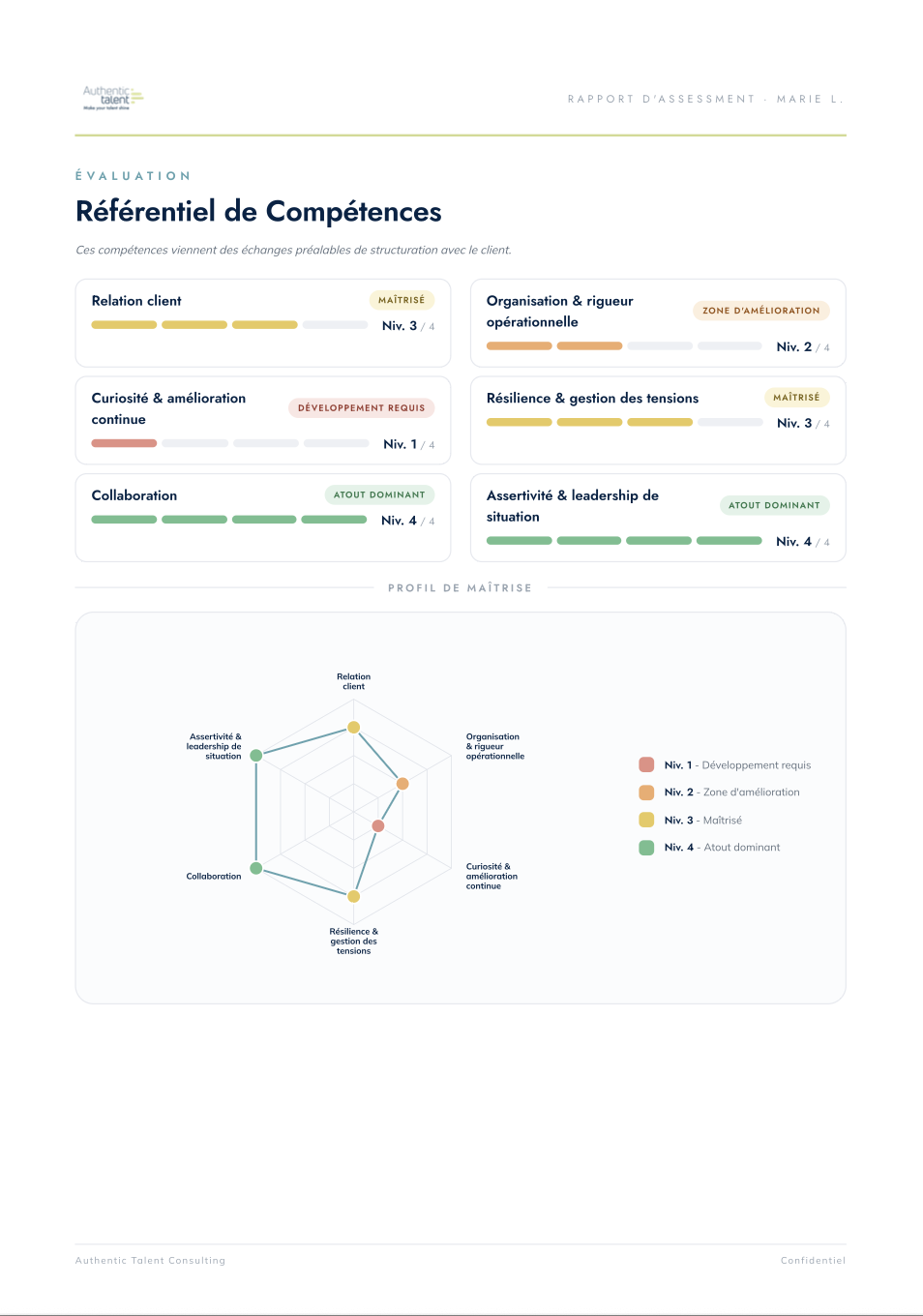Extrait d'un rapport d'assessment : référentiel de compétences et profil de maîtrise
