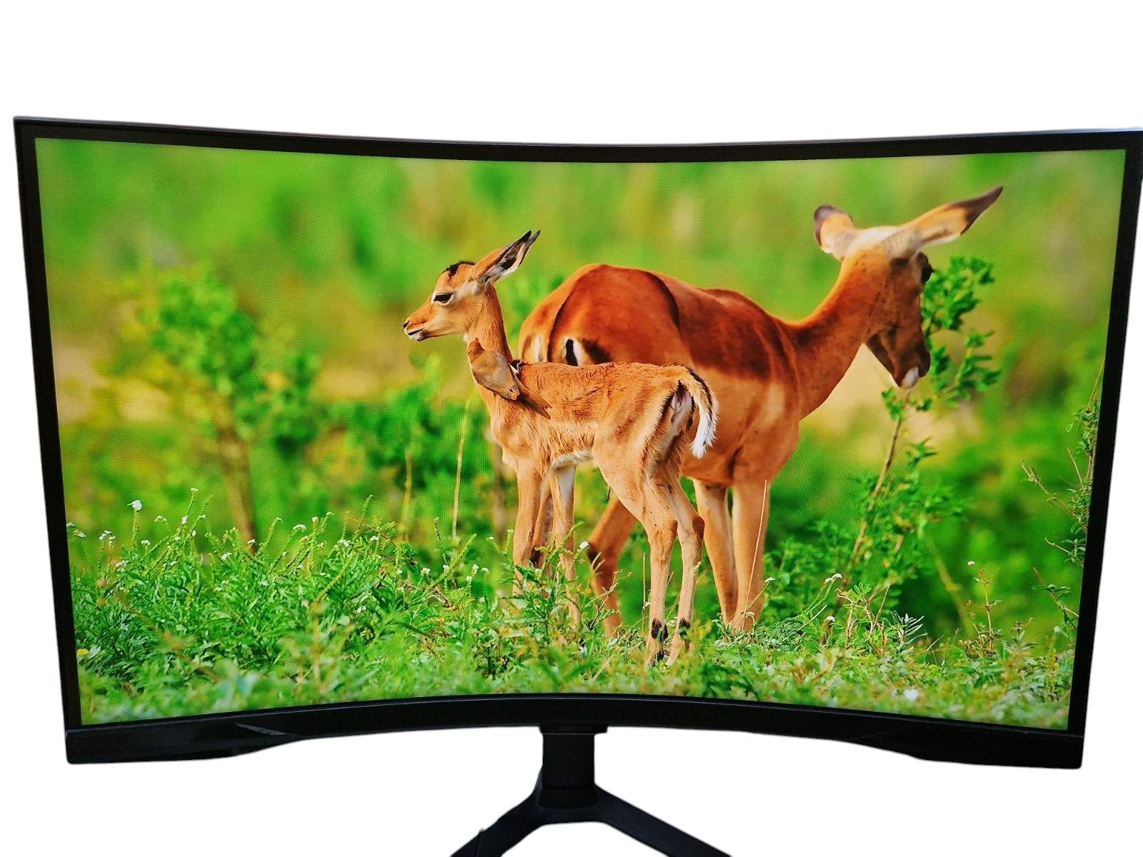 Монітор Samsung S27BG650EL