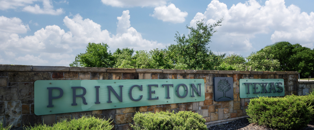 Why So Many Buyers Are Choosing Princeton Texas 