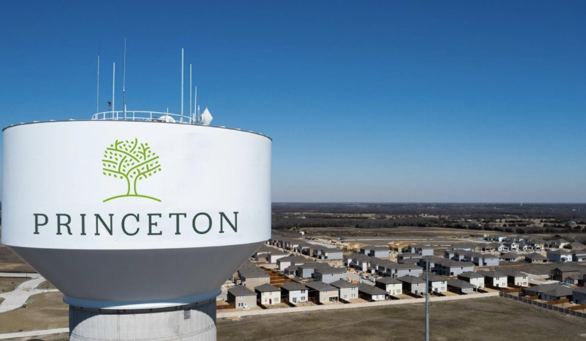 Princeton Texas Real Estate Trends