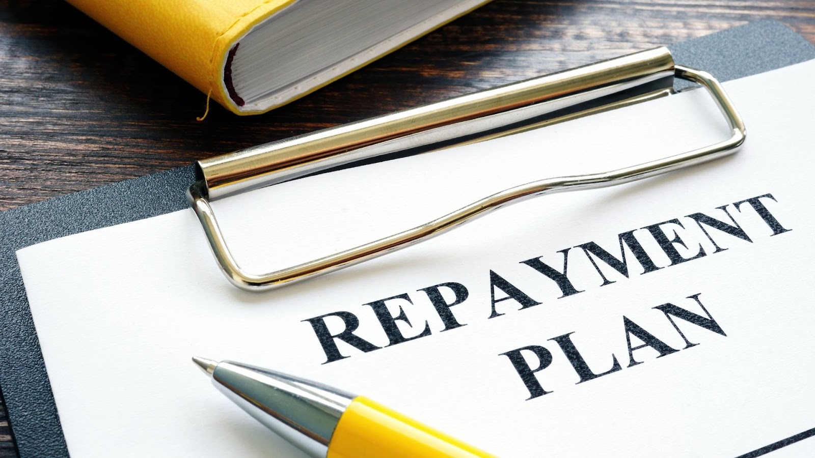 Setting Up a Repayment Plan