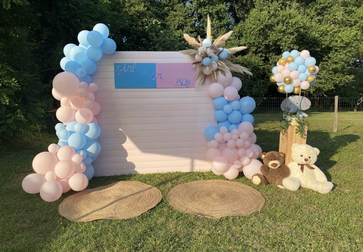 Décoration pour gender reveal avec planche en bois, arches de ballon et accessoires