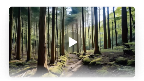 High quality still image from a video of a forest created with MyNinja
