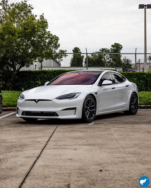 Tesla Model S XPEL Ultimate Plus
