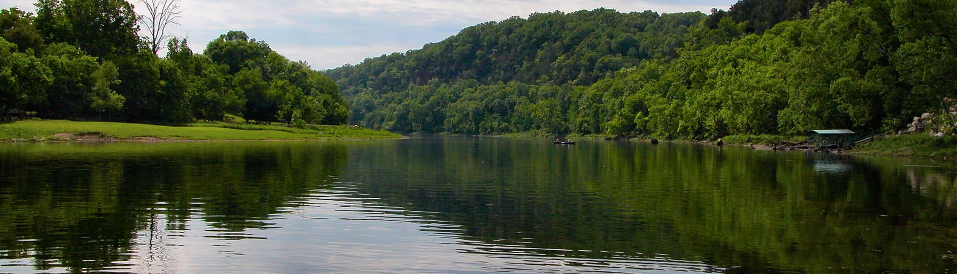 Video image