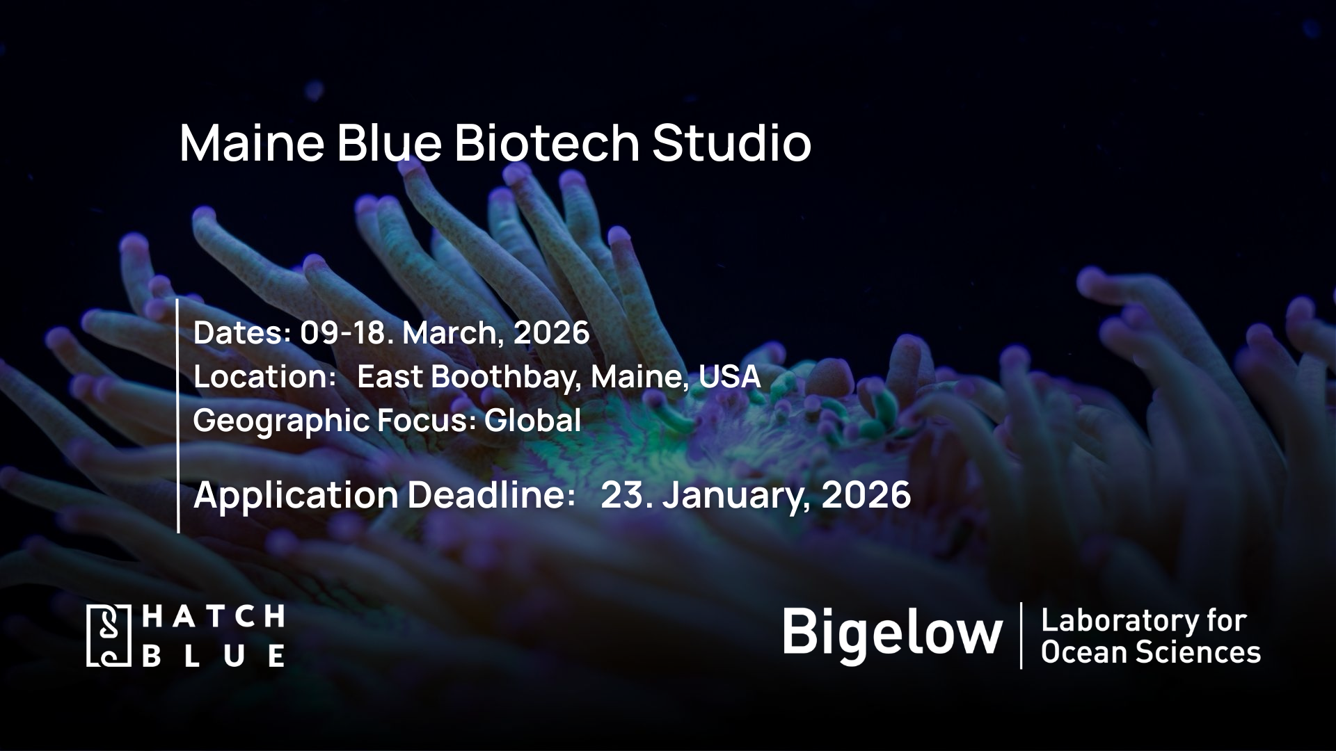 Maine Blue Biotech Studio