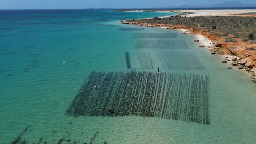 news article preview image