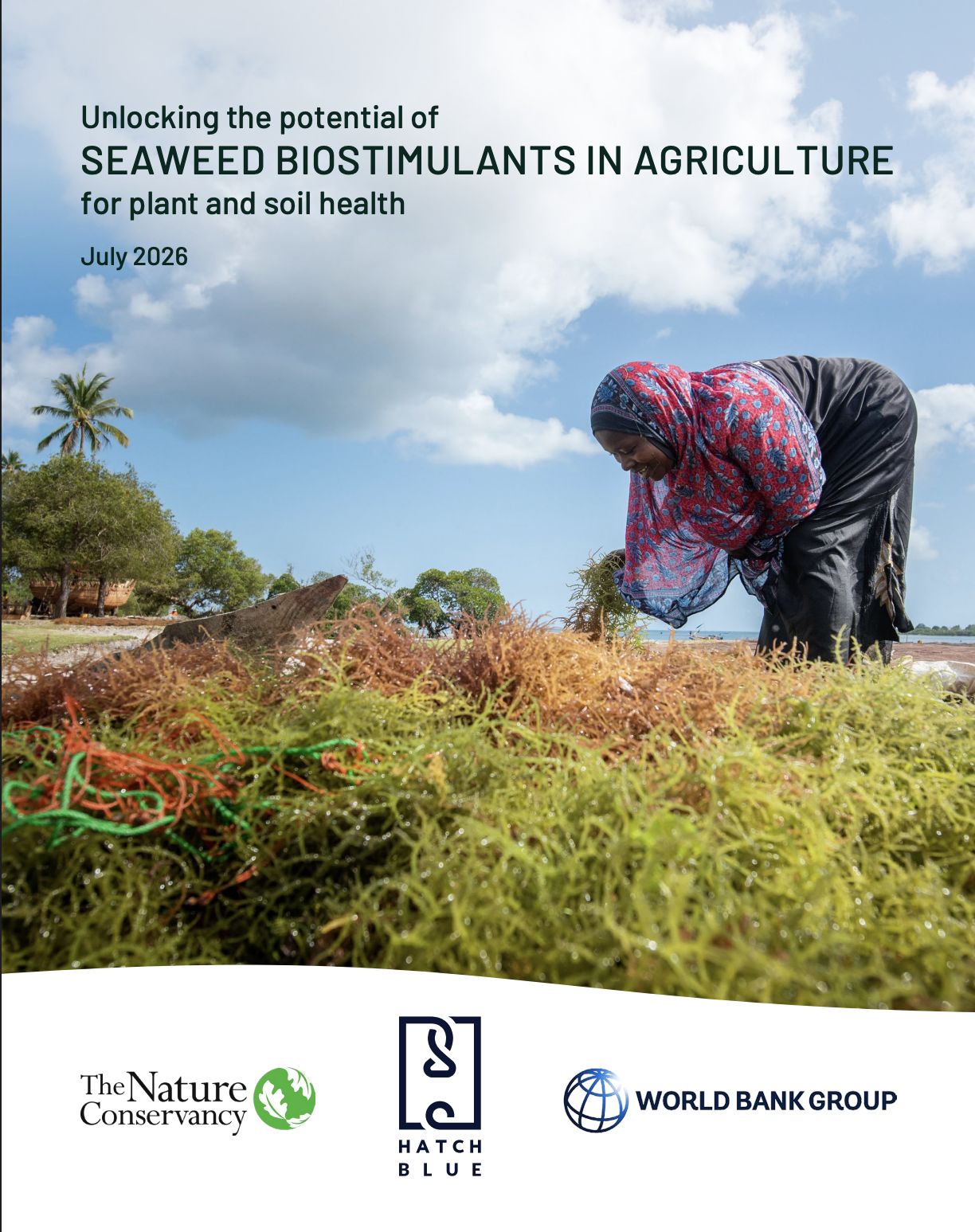 Unlocking the Potential of Seaweed Biostimulants in Agriculture for Plant and Soil Health