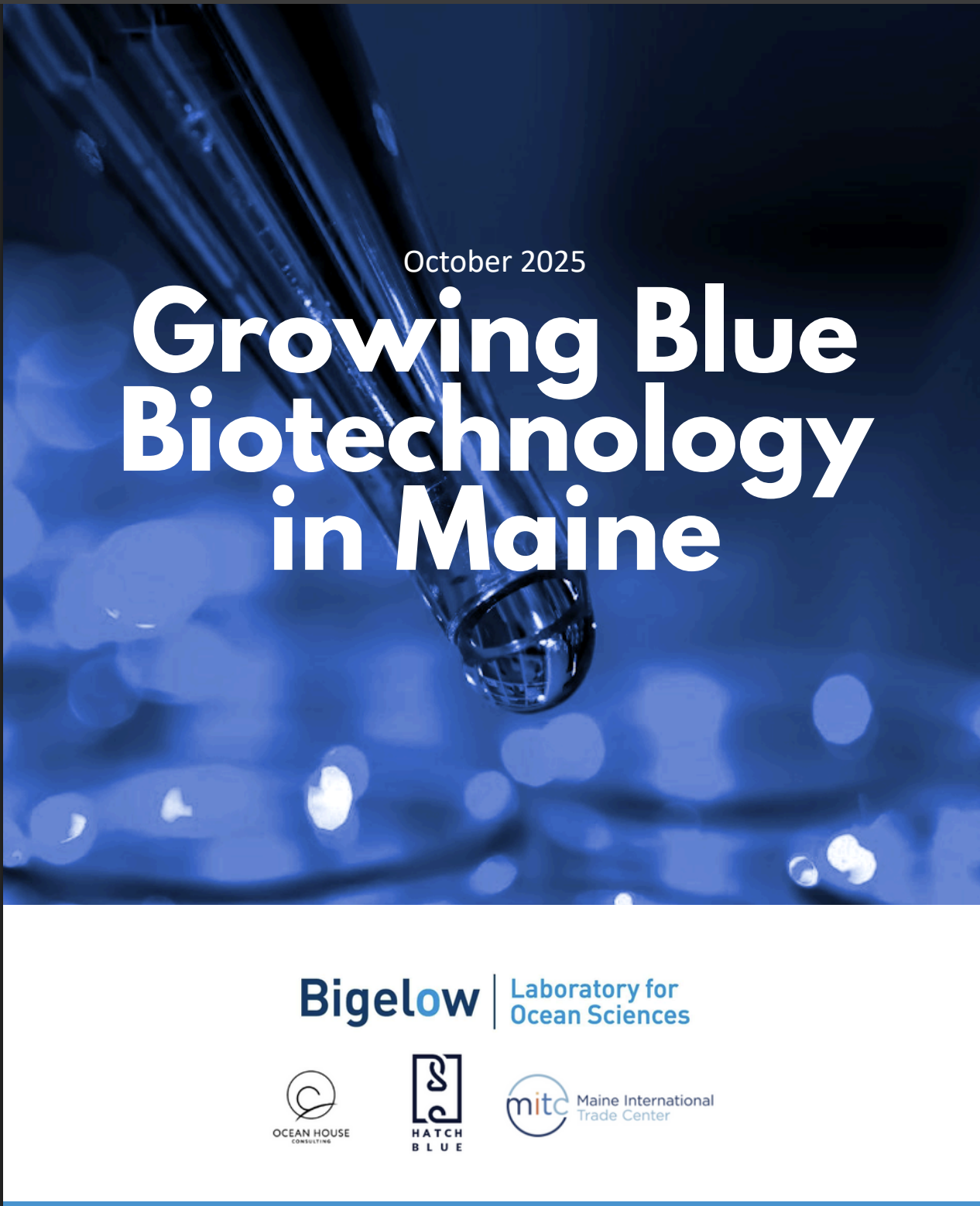 Growing Blue Biotech in Maine