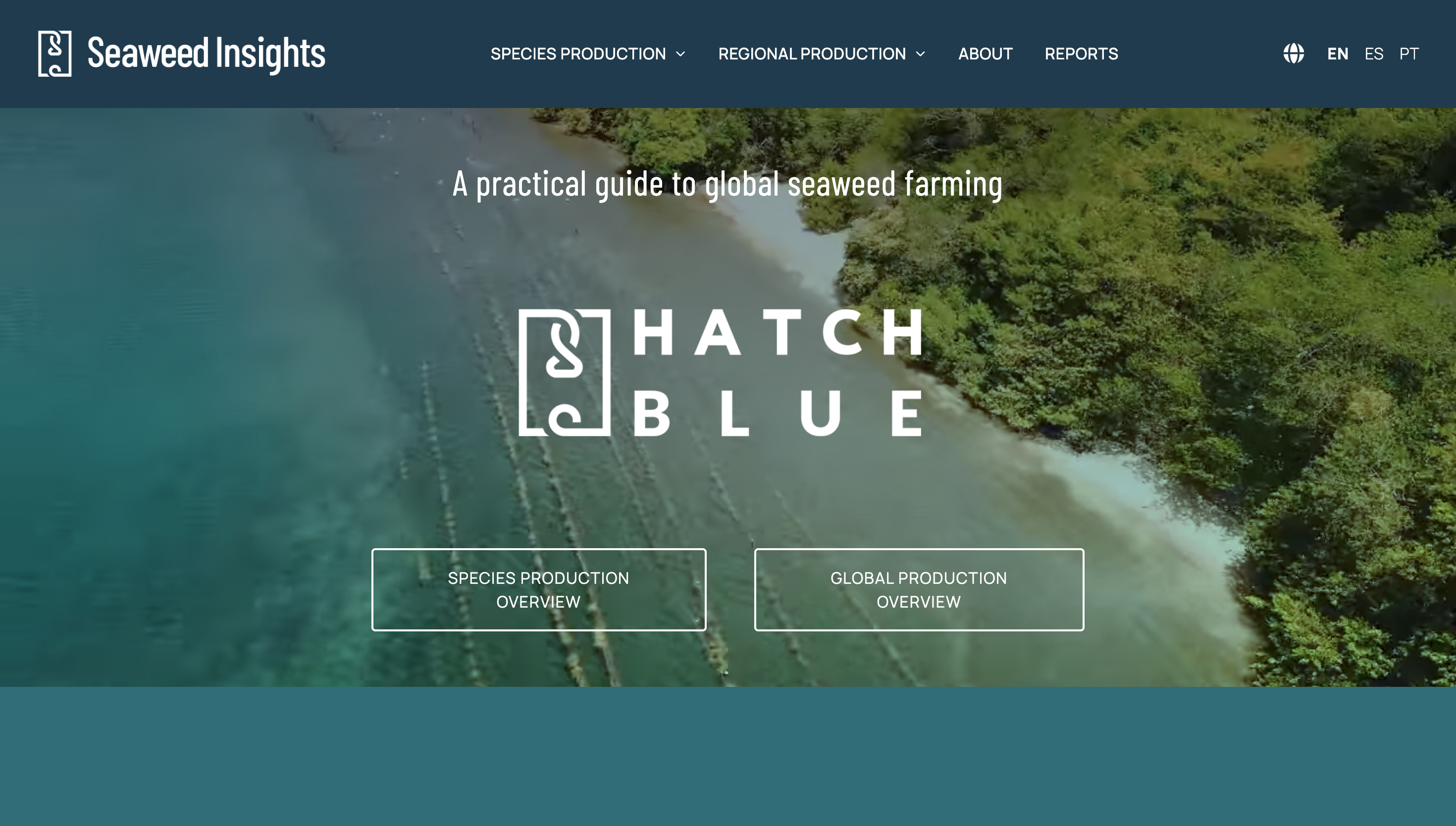 Seaweed Insights Platform