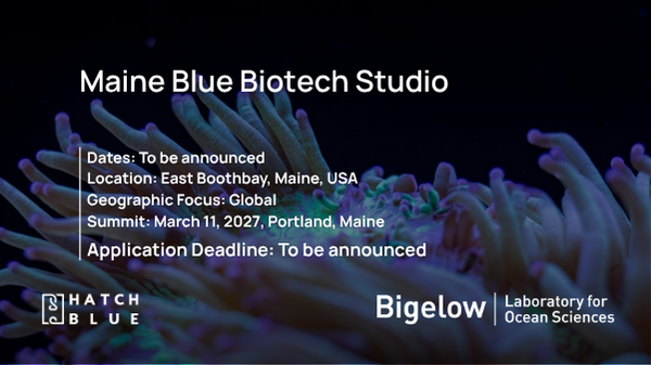 Maine Blue Biotech Studio