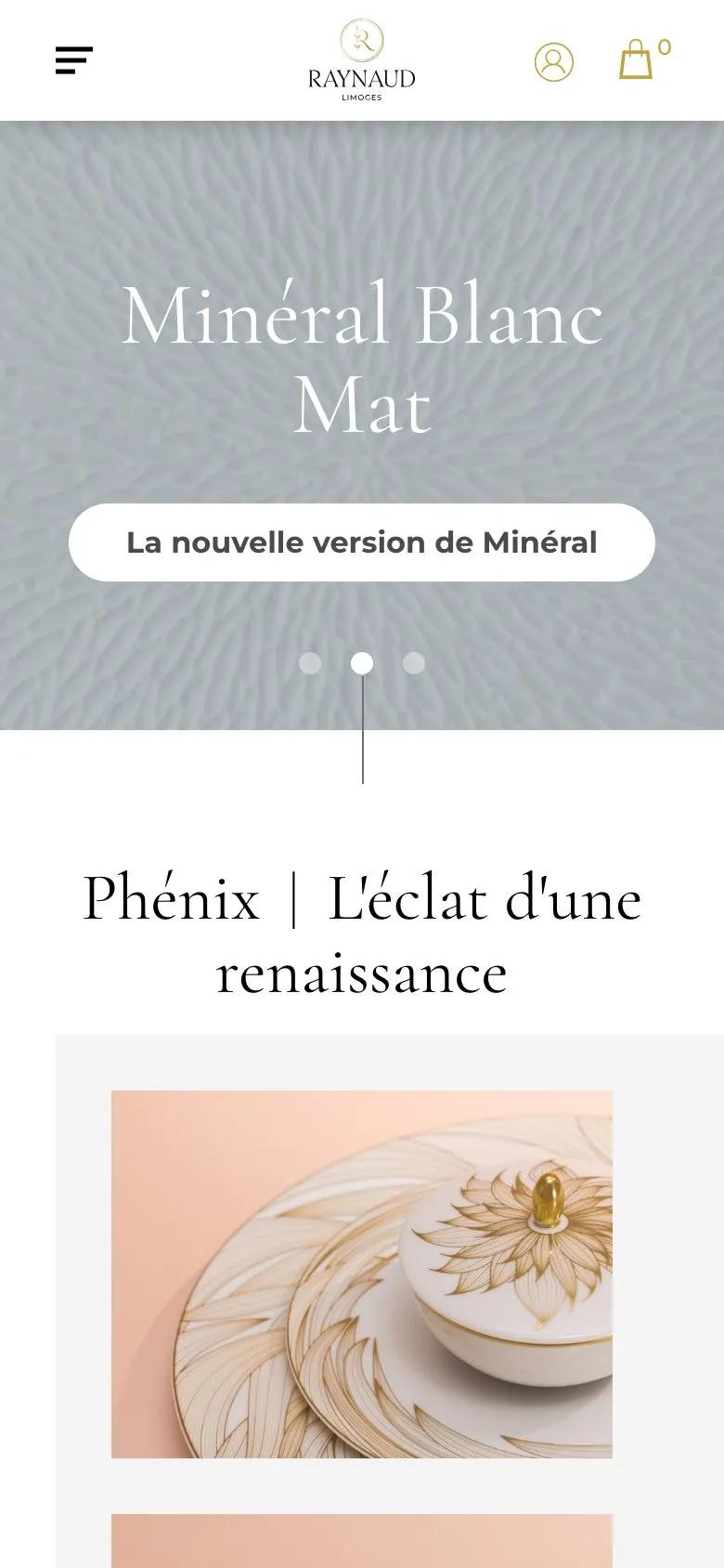 Page d’accueil du site Raynaud en navigation mobile