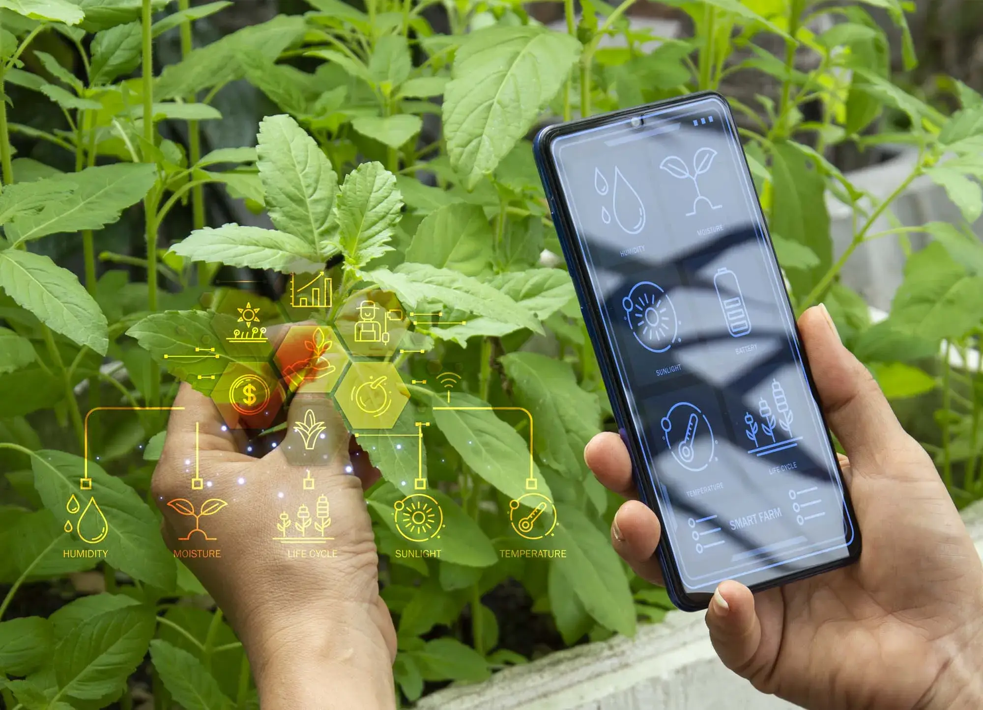 The Future of Smart Agriculture with Mobile Apps