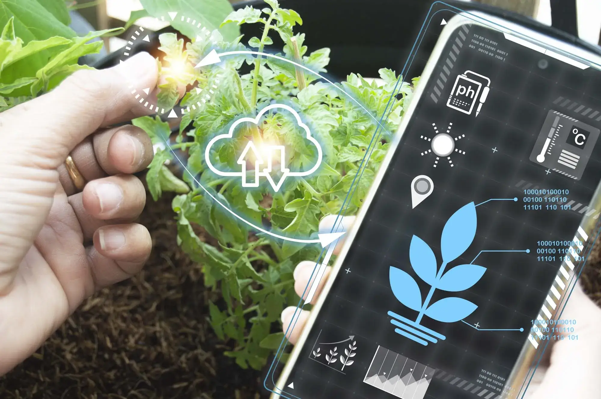 Monitoring Plant Health through Computer Vision