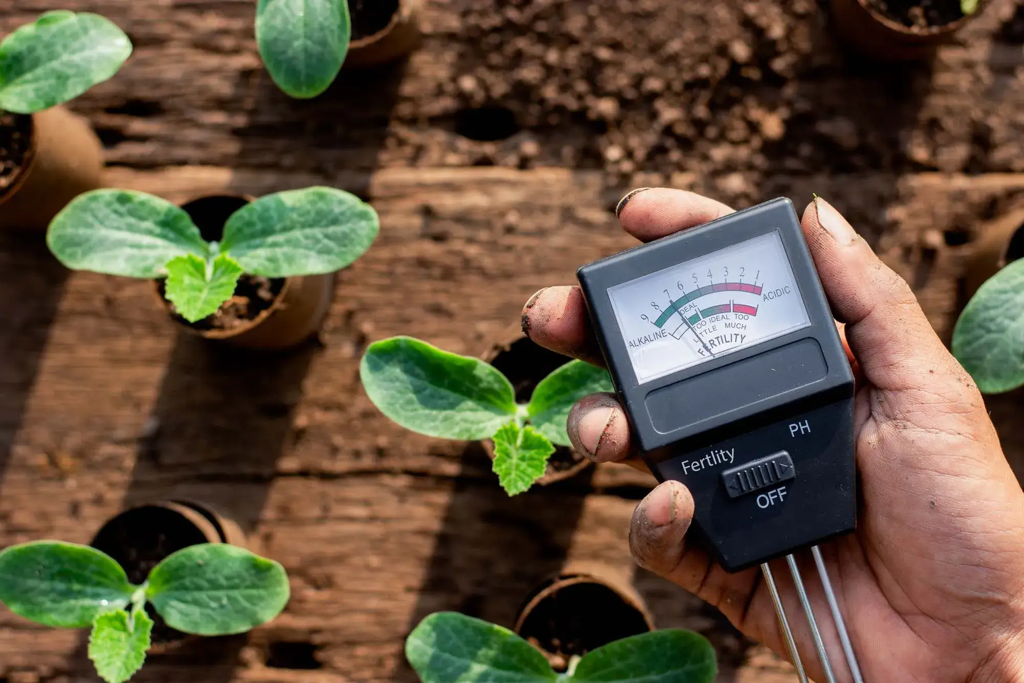 Use of Sensors in Plant Cultivation