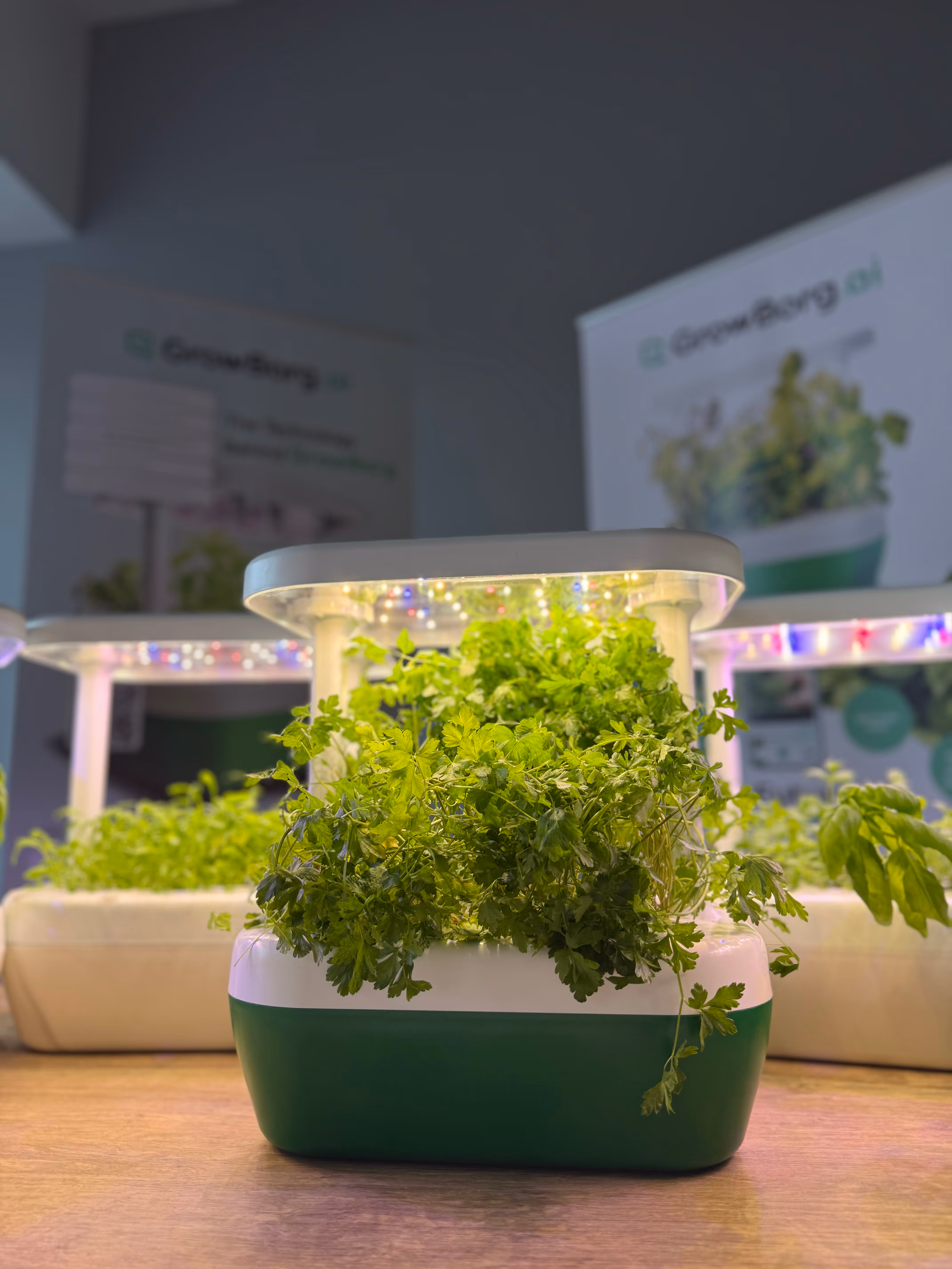 Small Home Devices for Plant Growing: Big Step Towards Savings and Sustainability