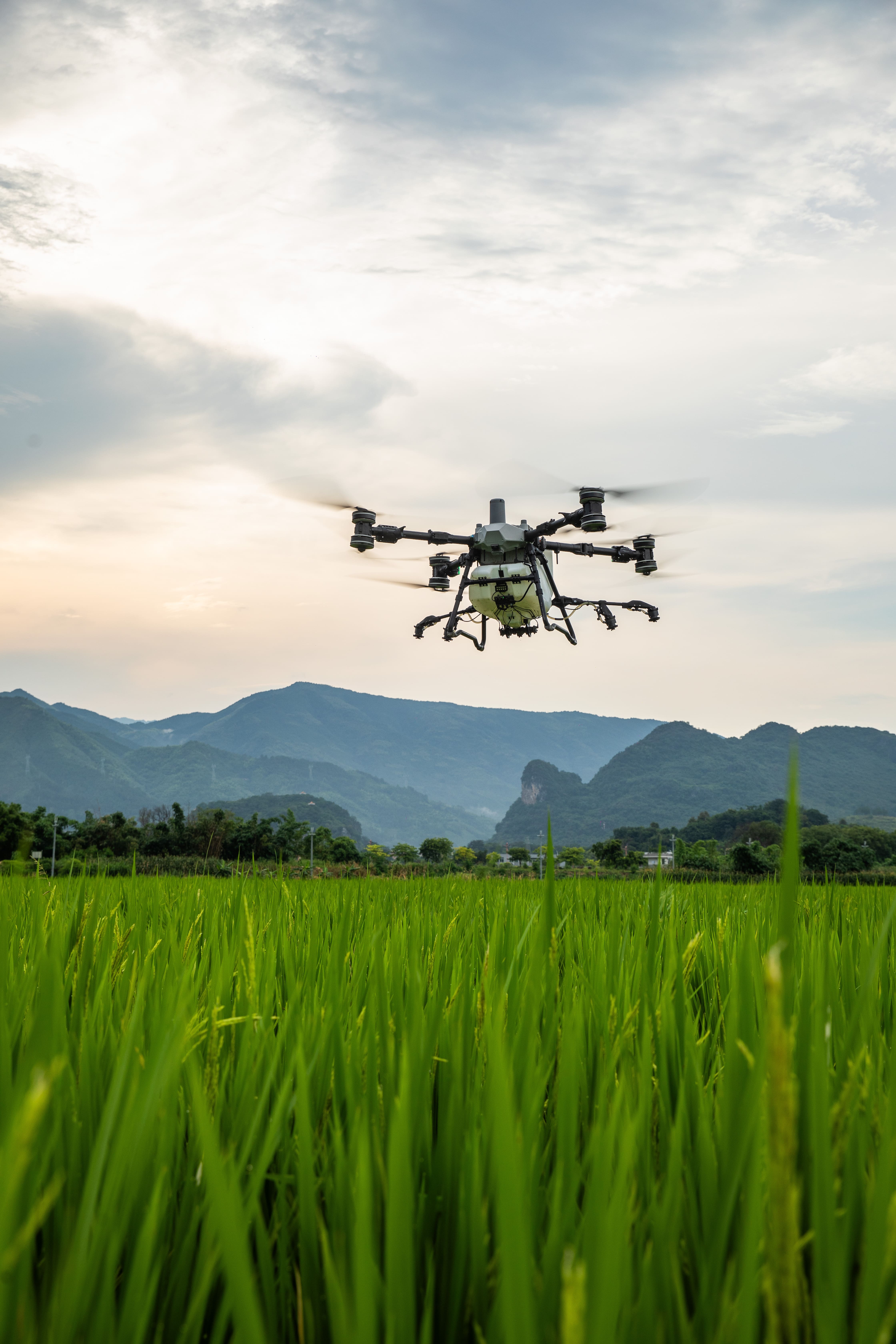 Dron nad polem