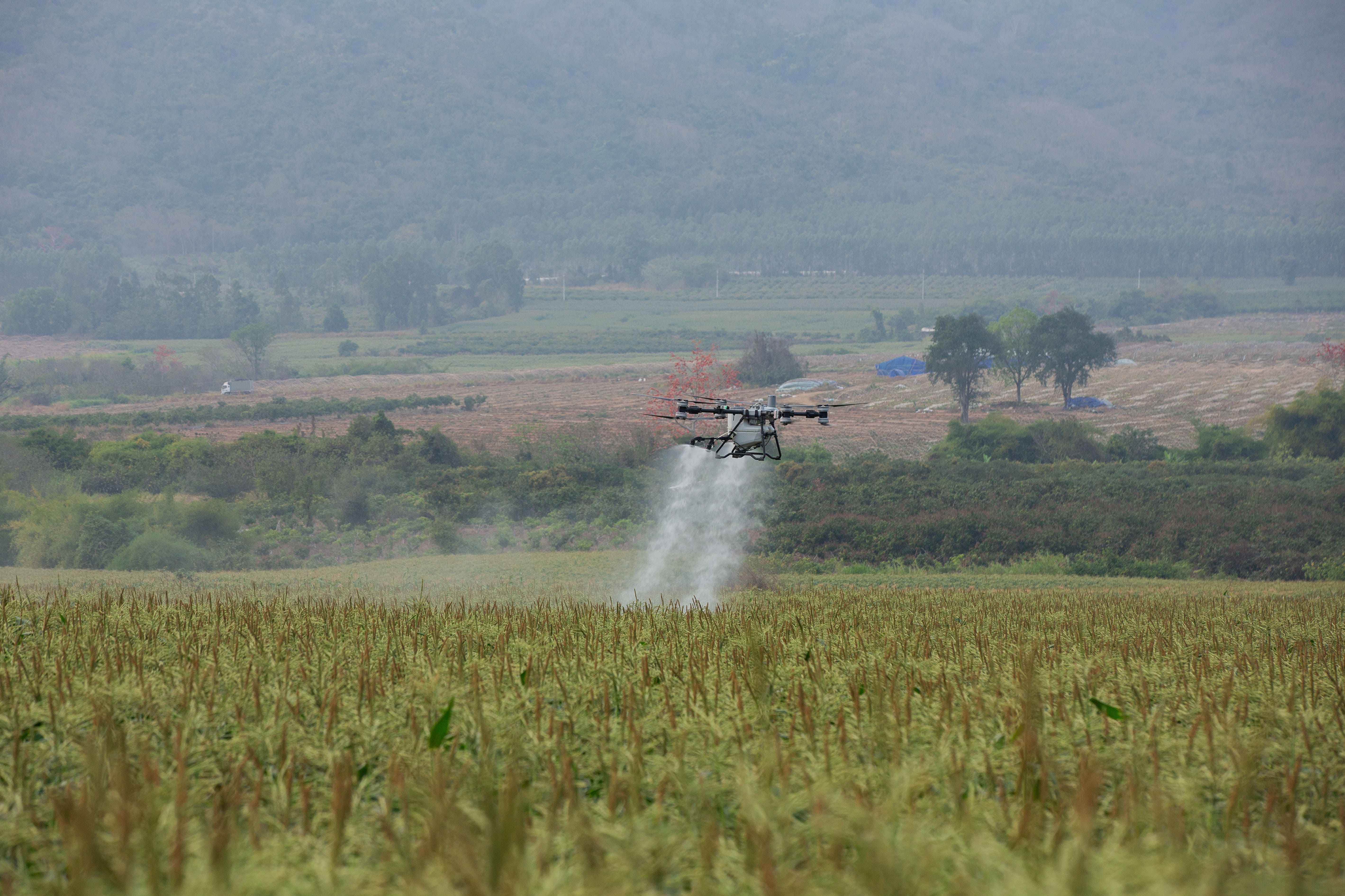 Dron opryskujący uprawy
