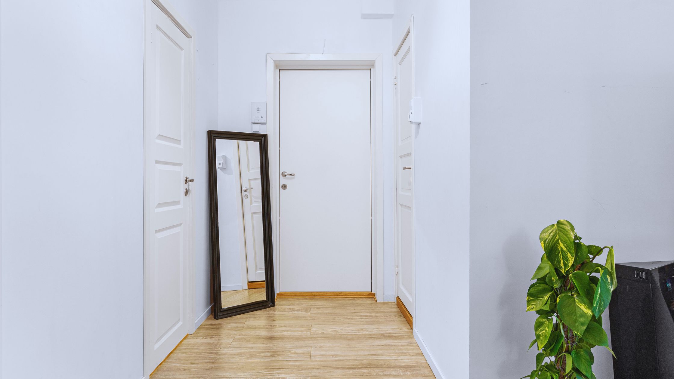 Modern open space for a Massachusetts first time home buyer