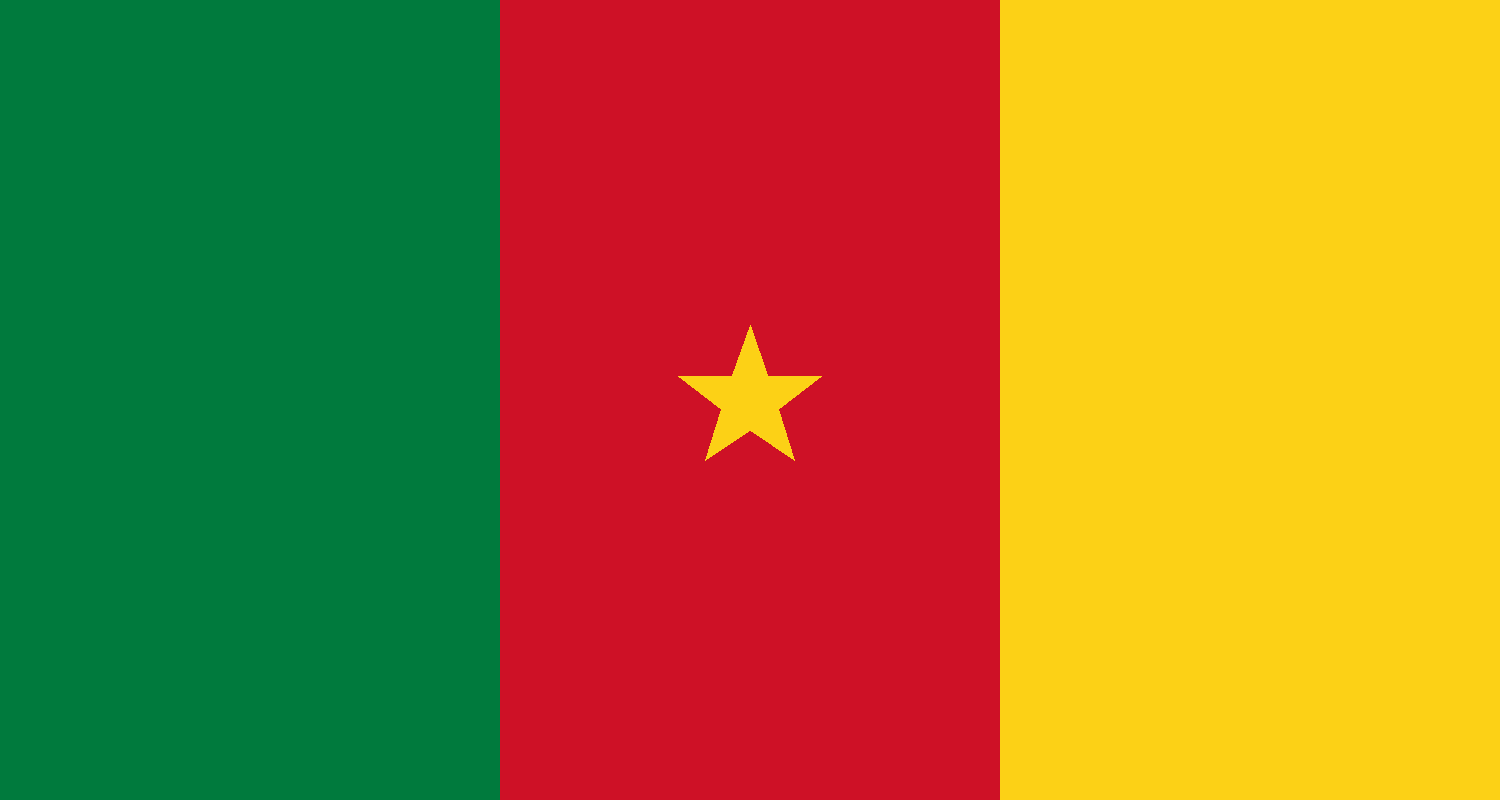Cameroon flag