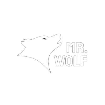 Mr Wolf Slots UK casino review