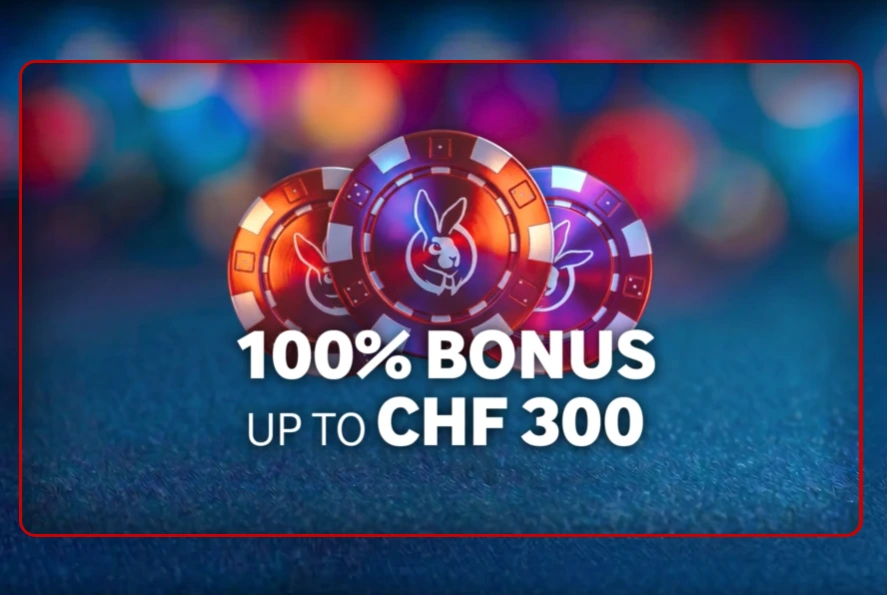 mycasino casino gallery image