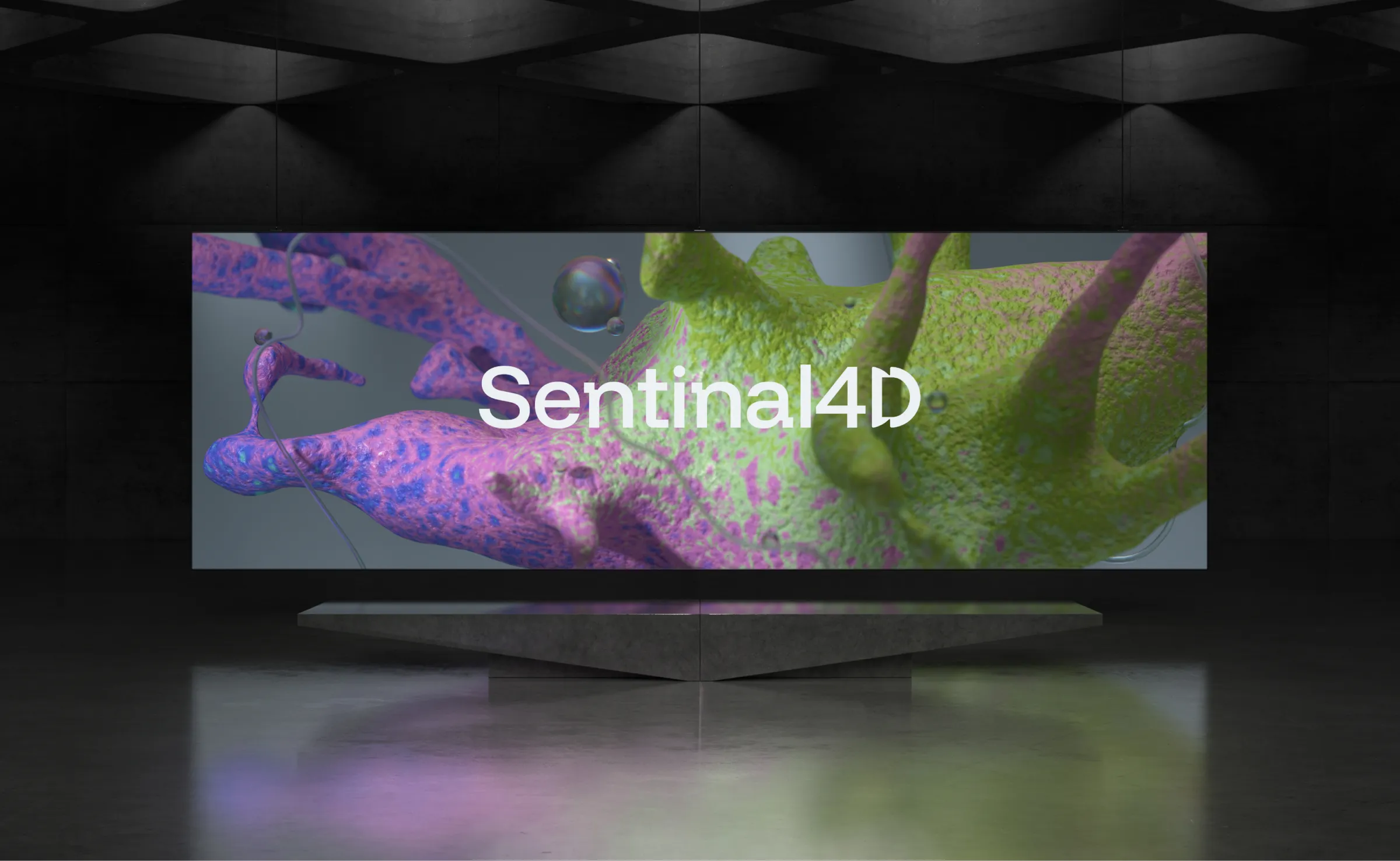 Sentinal 4D social media visual