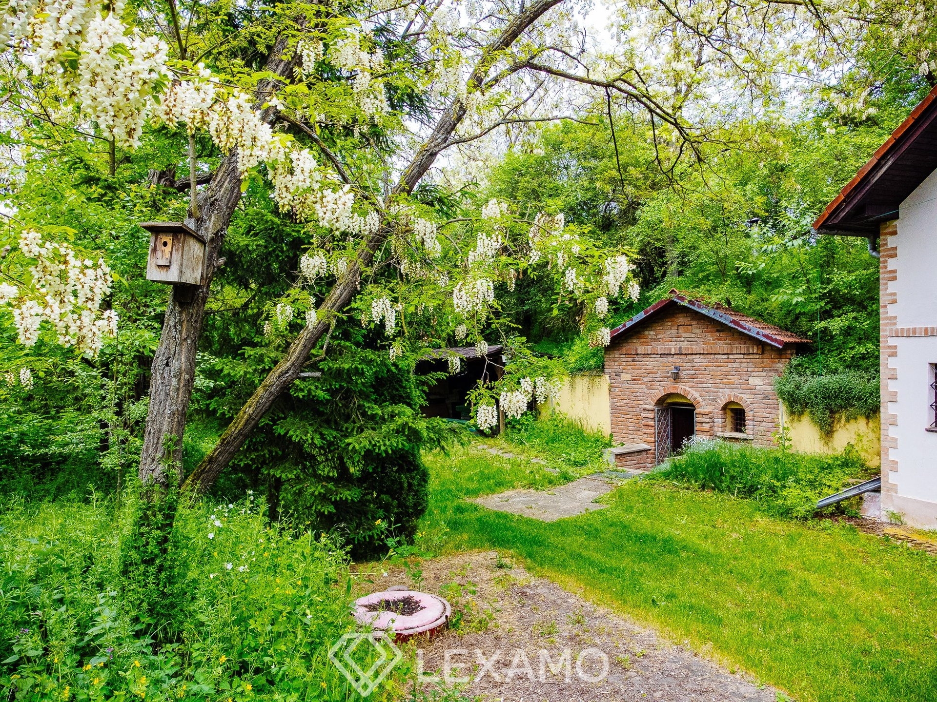 DJI_0002