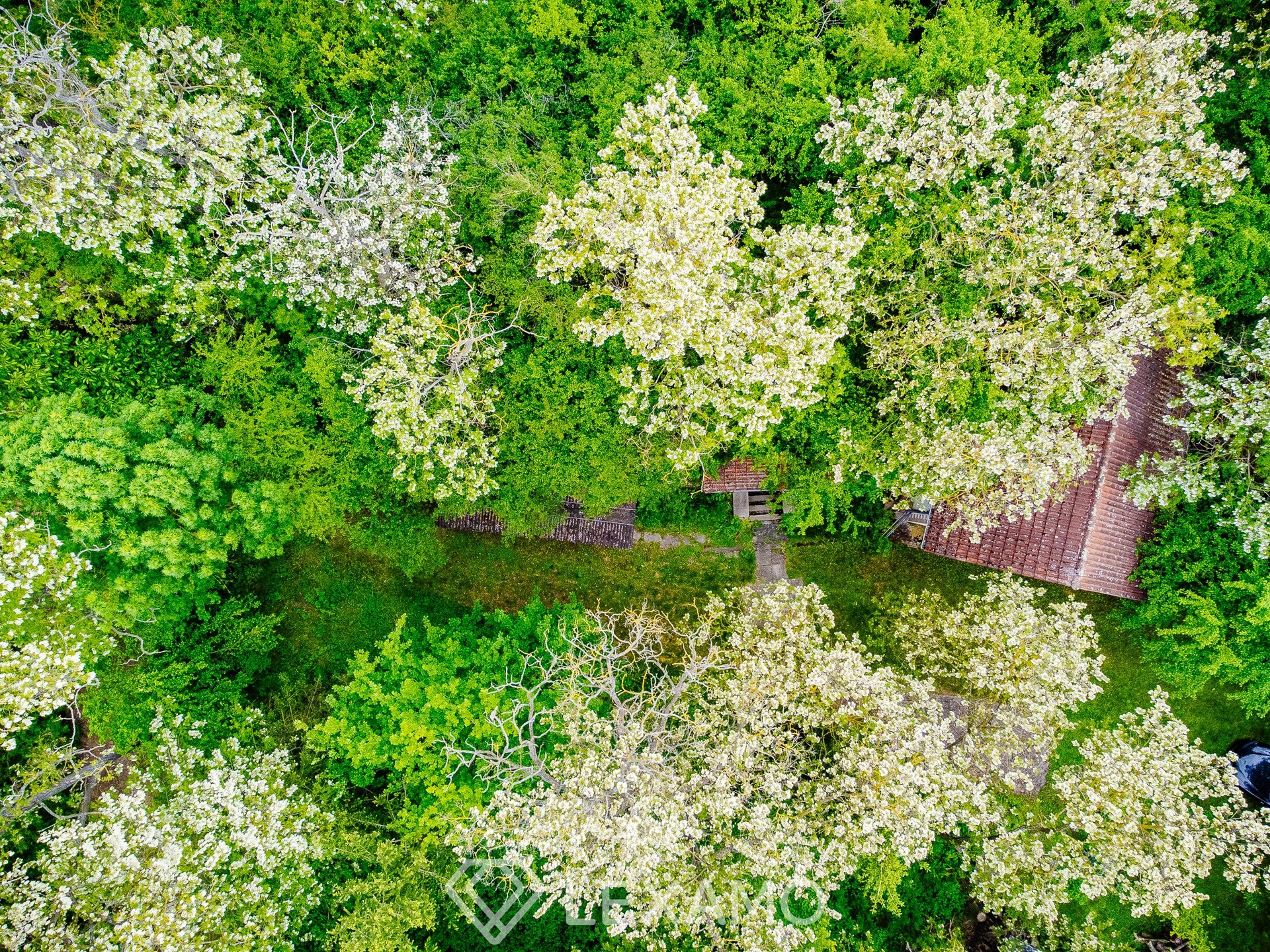 DJI_0010