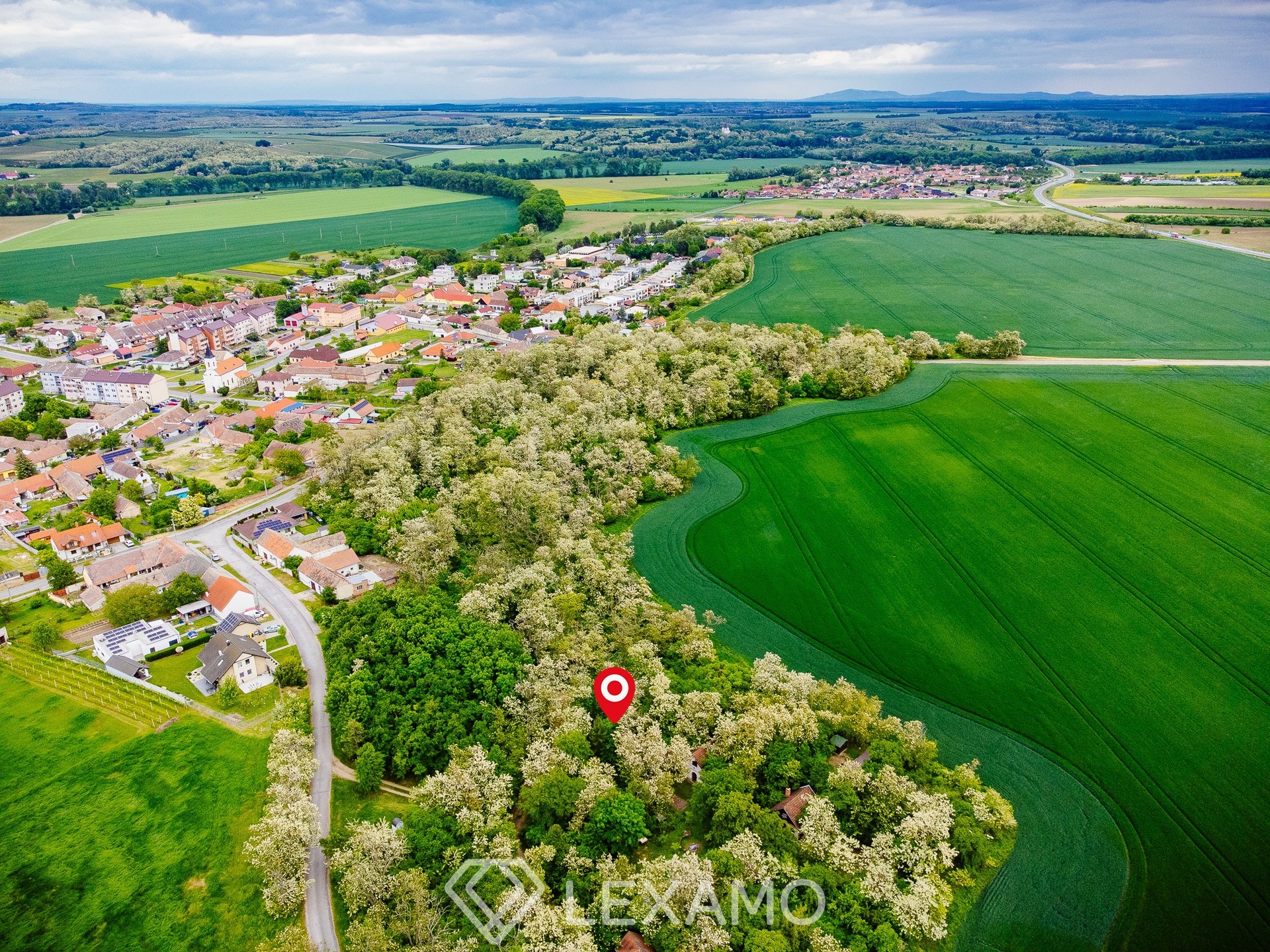 DJI_0004 copy