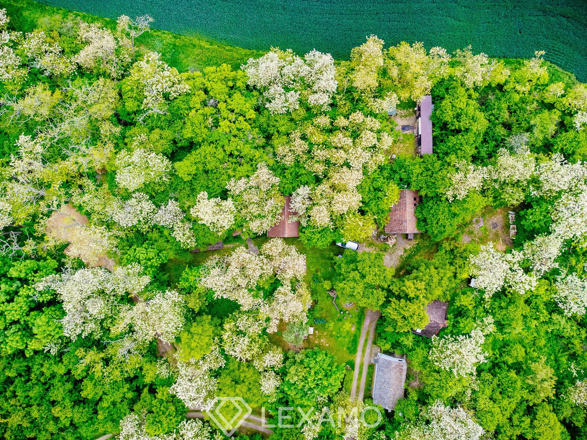 DJI_0009