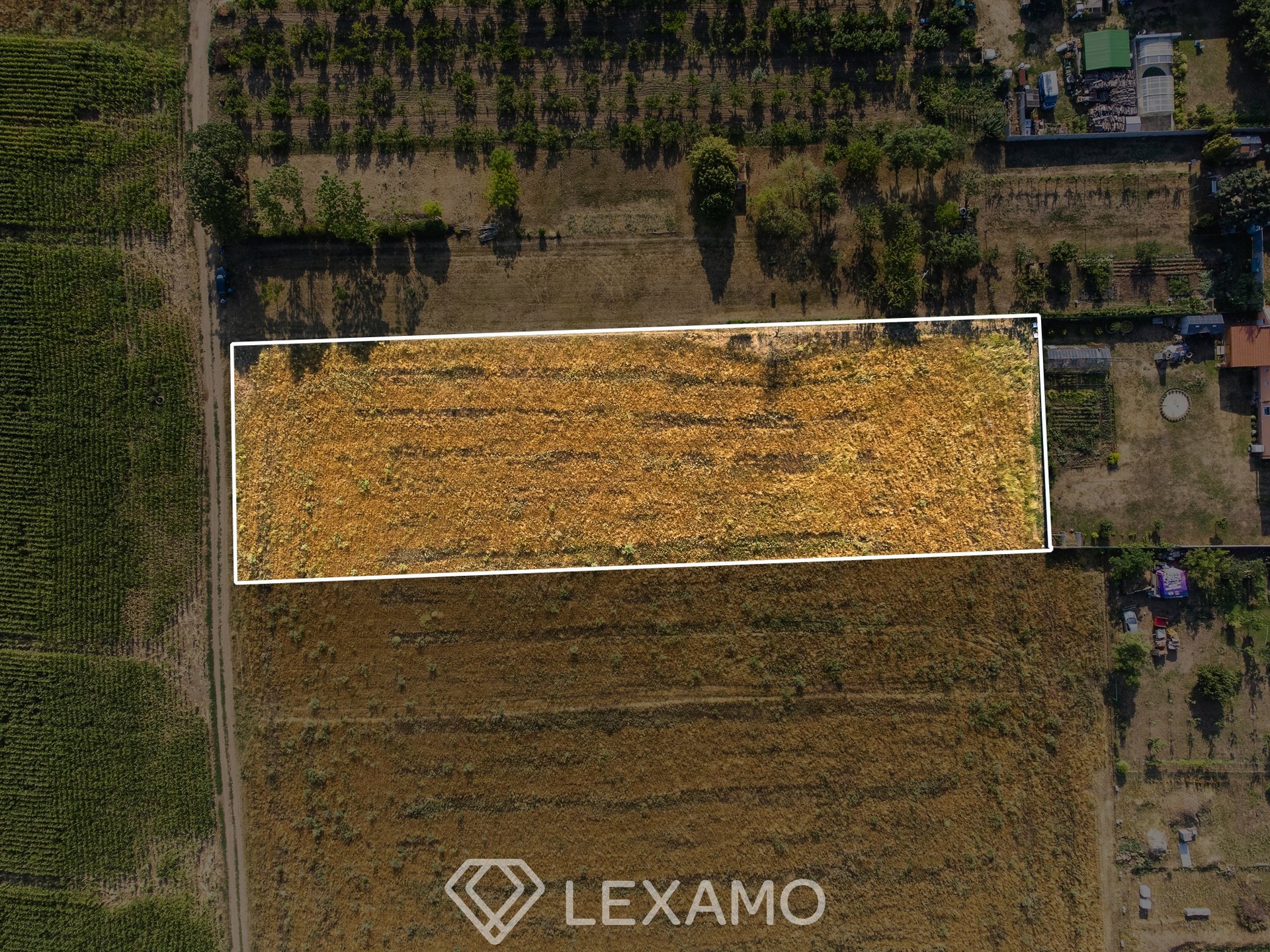 DJI_0020 copy