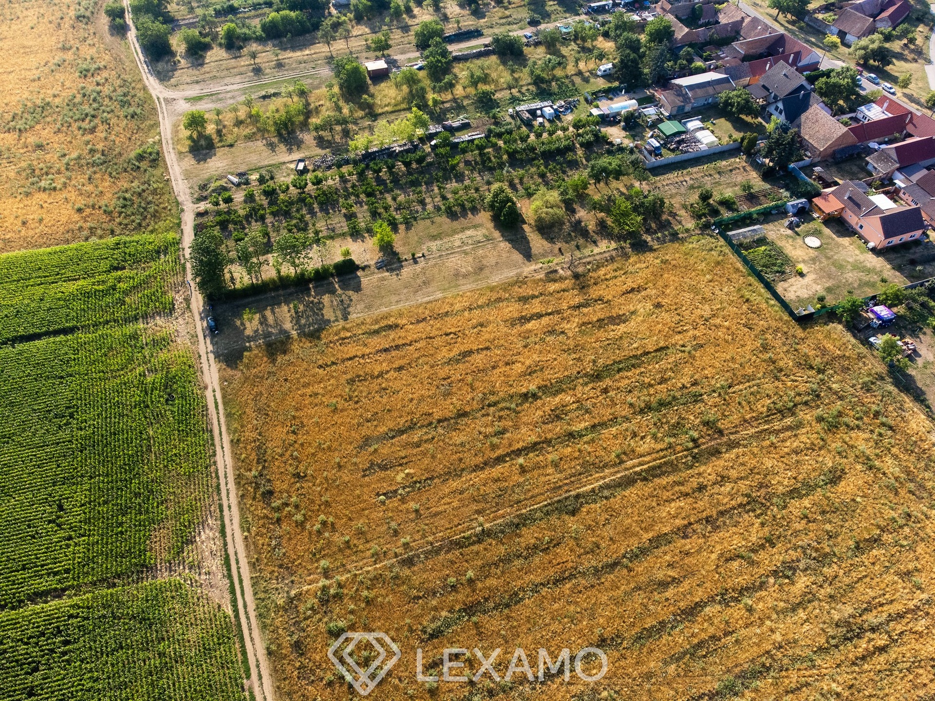DJI_0010
