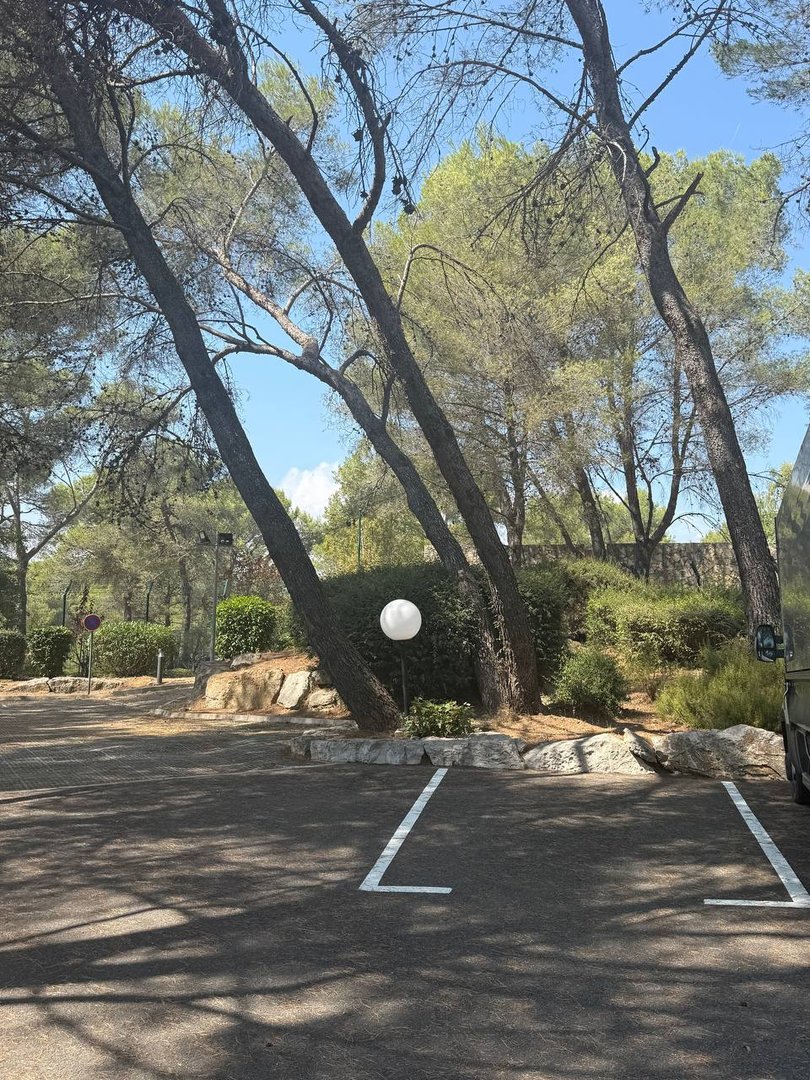 abattage SAHM Jardins La Gaude - Photo 2