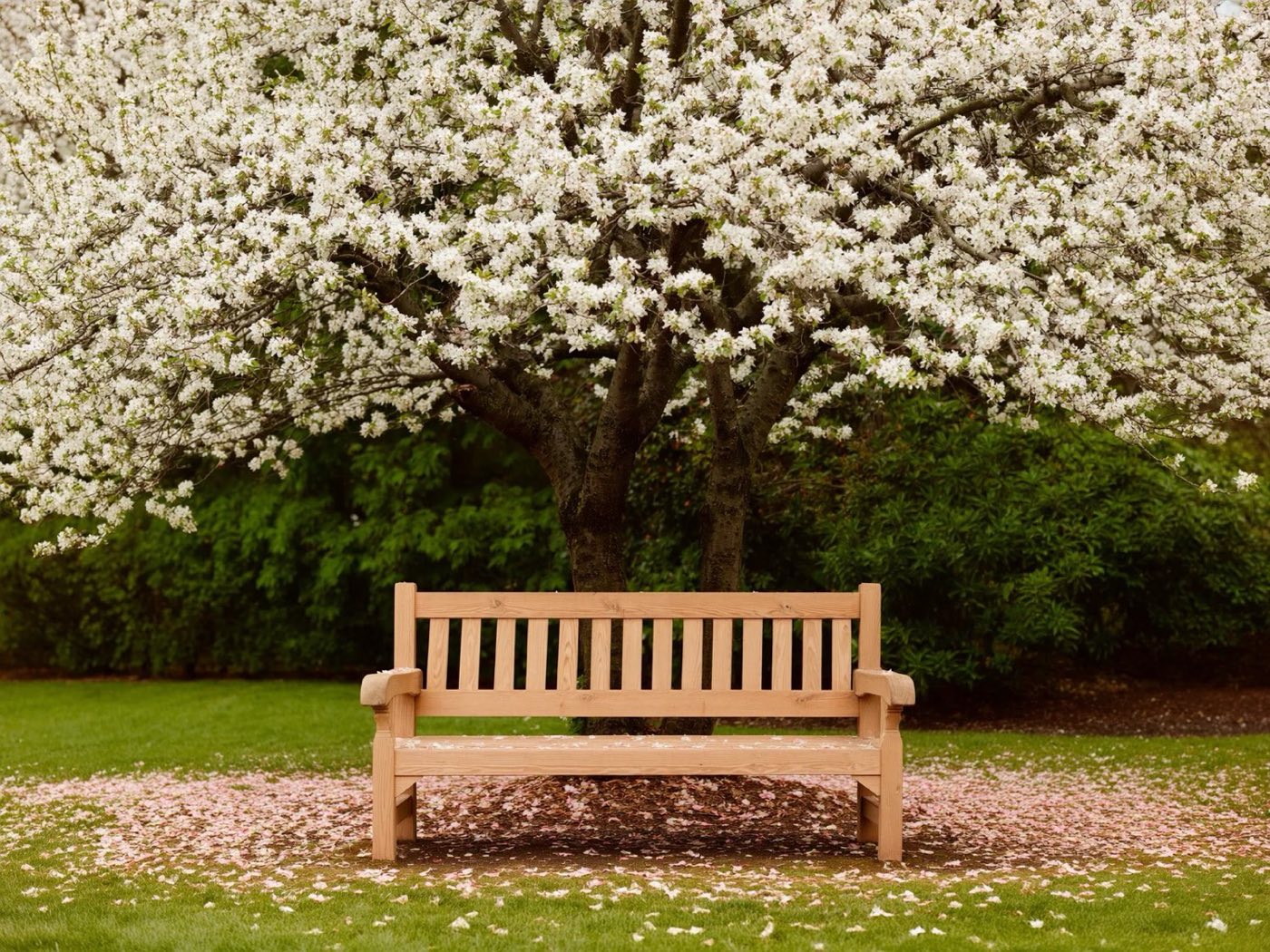 High-Functioning Anxiety Treatment in Massachusetts — Grand Rising Behavioral Health, Norwood MA