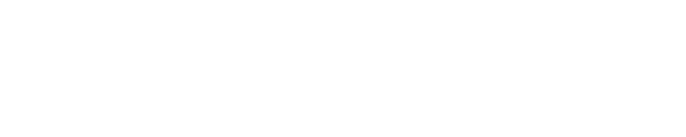 vivenu
