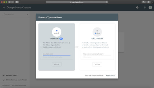 Google Search Console Property-Type
