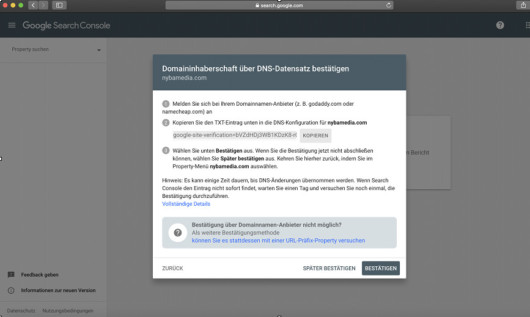 Google Search Console DNS Settings