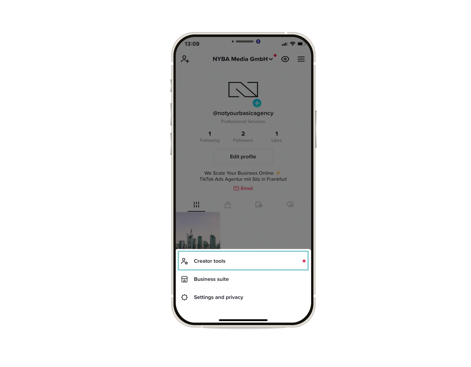 TikTok Spark Ads: What They Are and How to Generate a Code, image 2