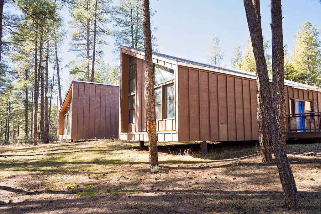 Modern wooden cabins elevated on stilts in a forest with tall pine trees under daylight.