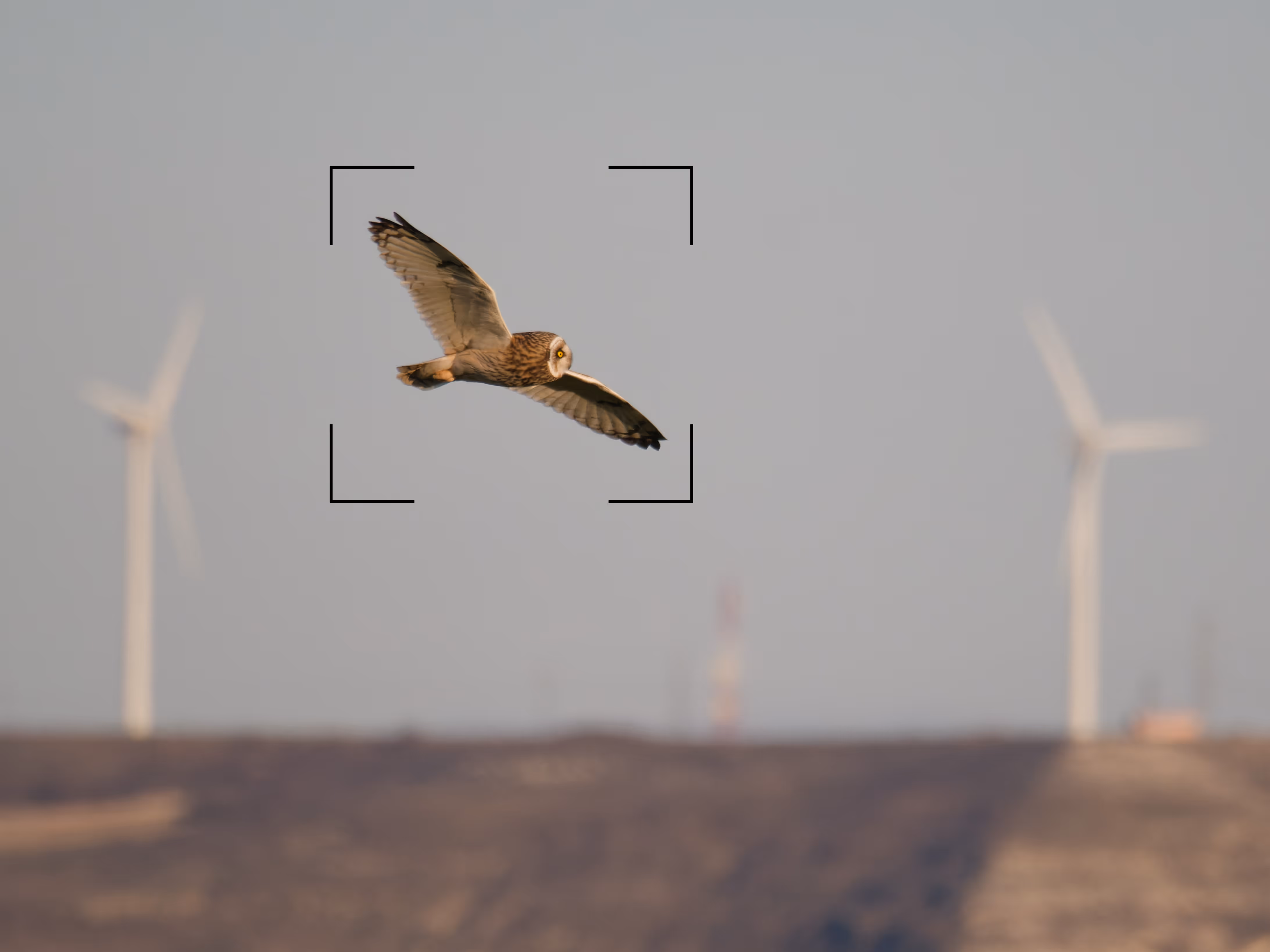 Distribución de resoluciones ambientales por comunidades autónomas