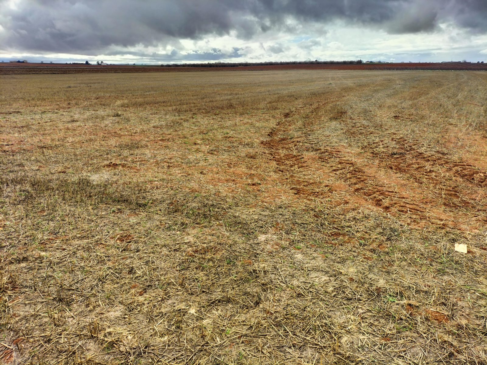 Huella sobre un campo de cereal en barbecho