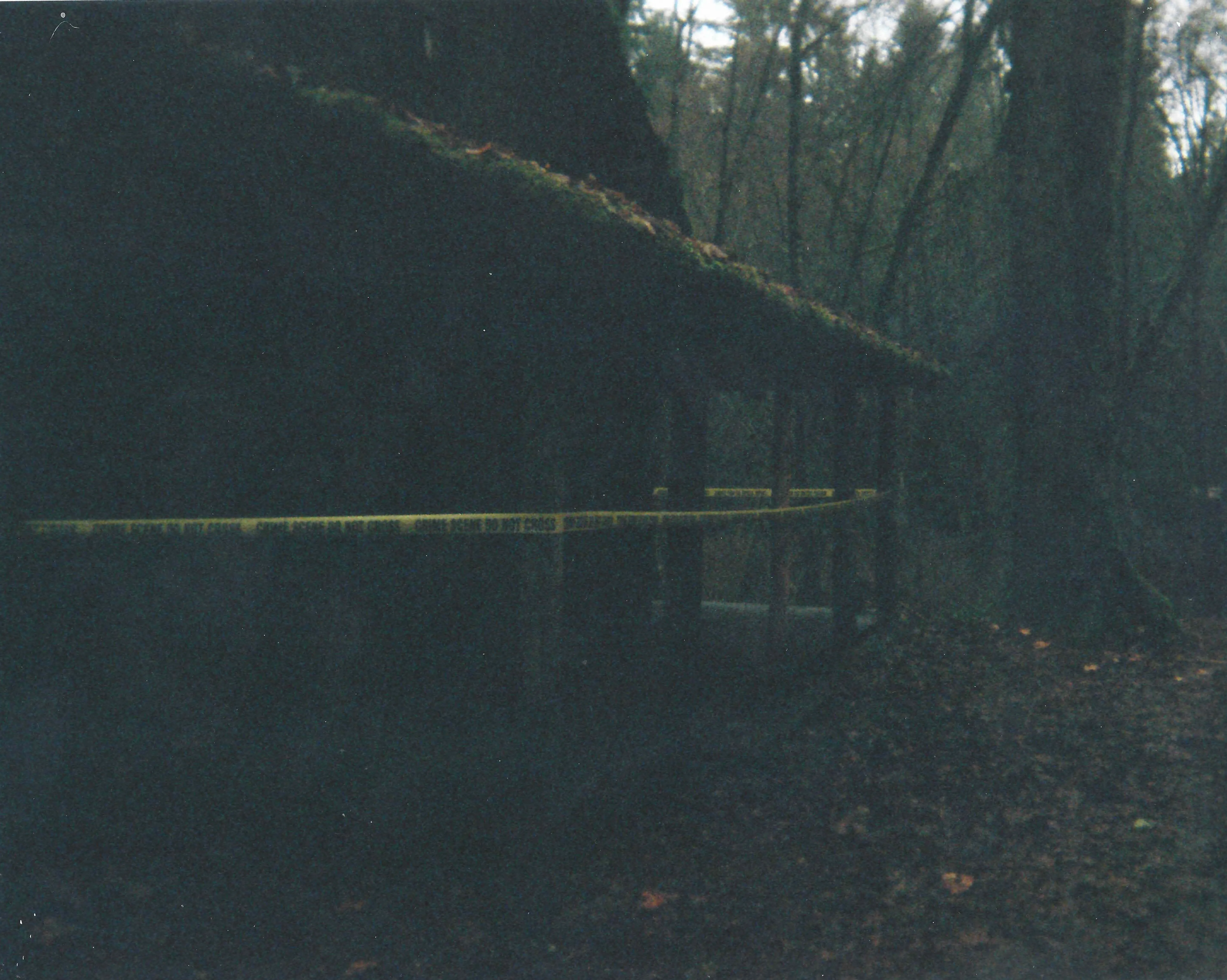 Dark wooded area with a moss-covered wooden structure cordoned off by yellow police tape reading 'Crime Scene Do Not Cross.'