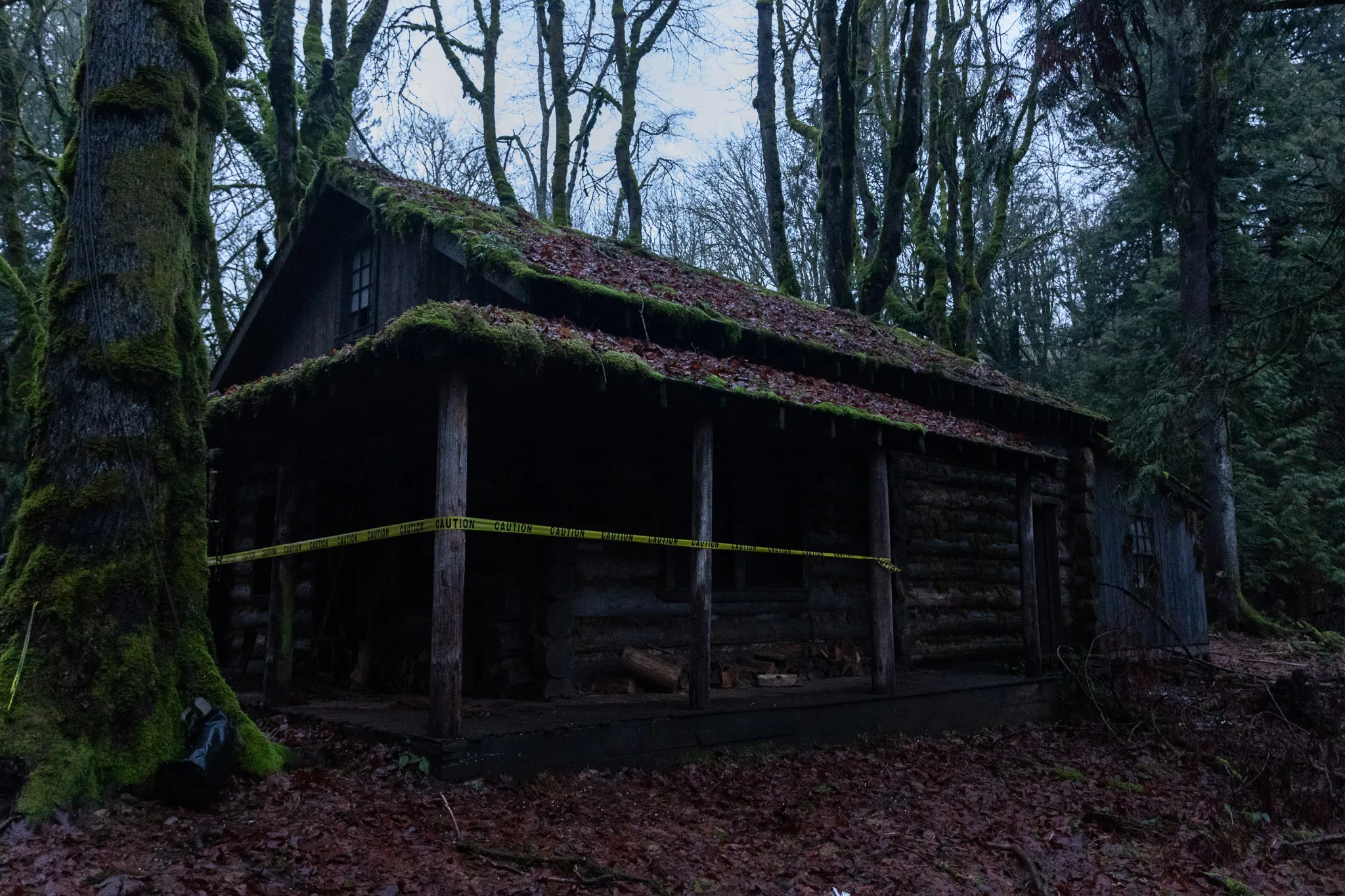 Dark wooden cabin with moss-covered roof surrounded by tall trees, cordoned off with yellow caution tape.